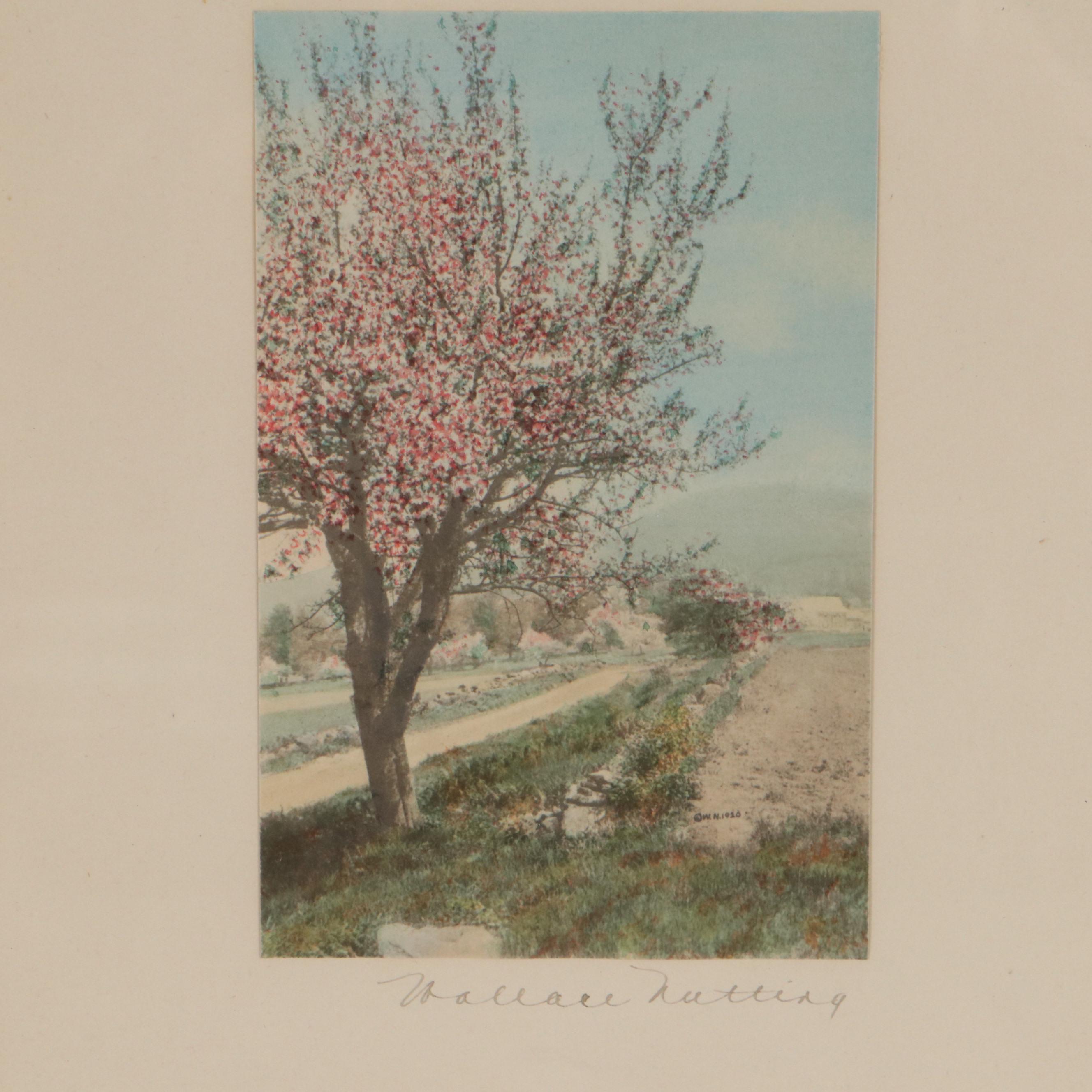 Wallace Nutting Hand-Colored Photographs