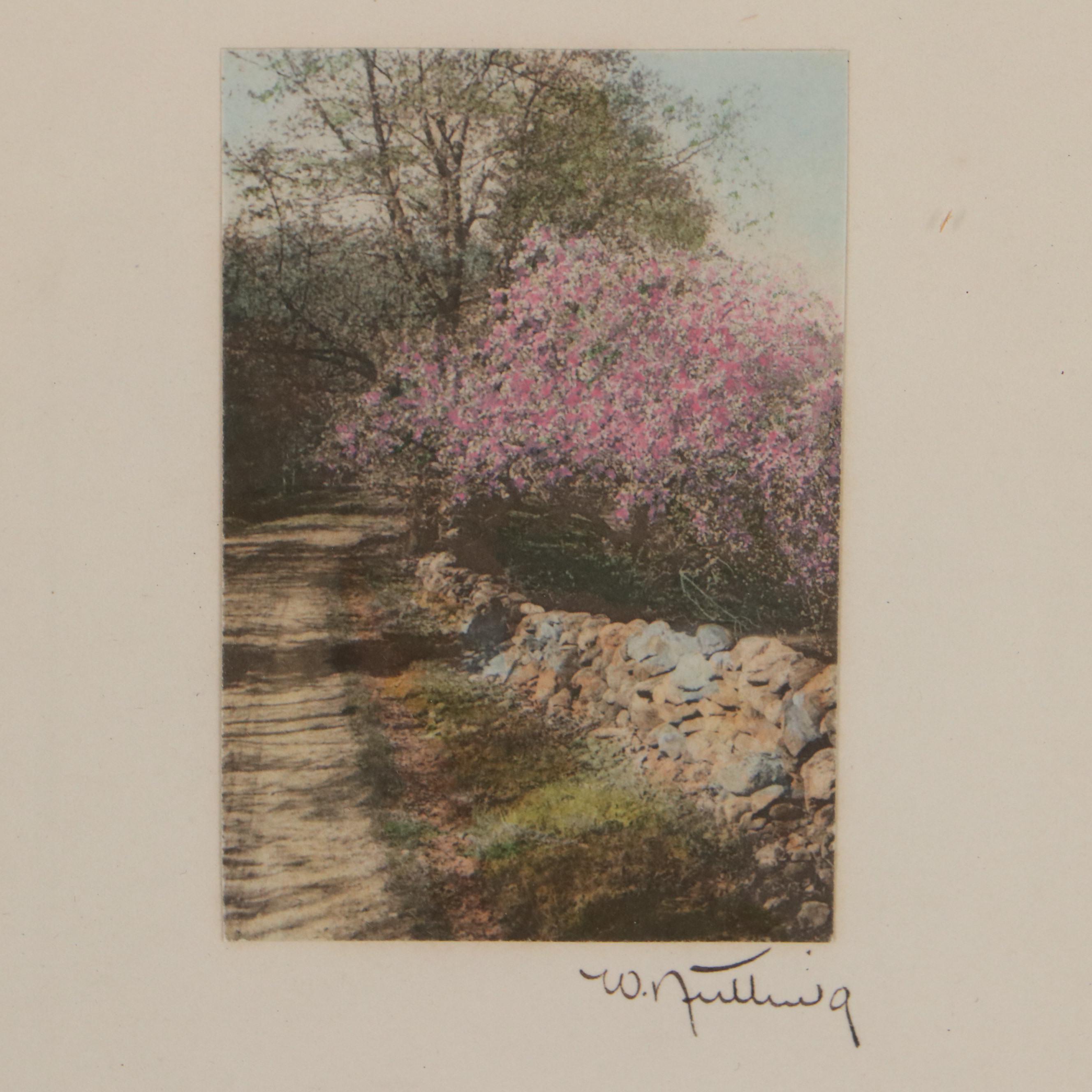 Wallace Nutting Hand-Colored Photographs