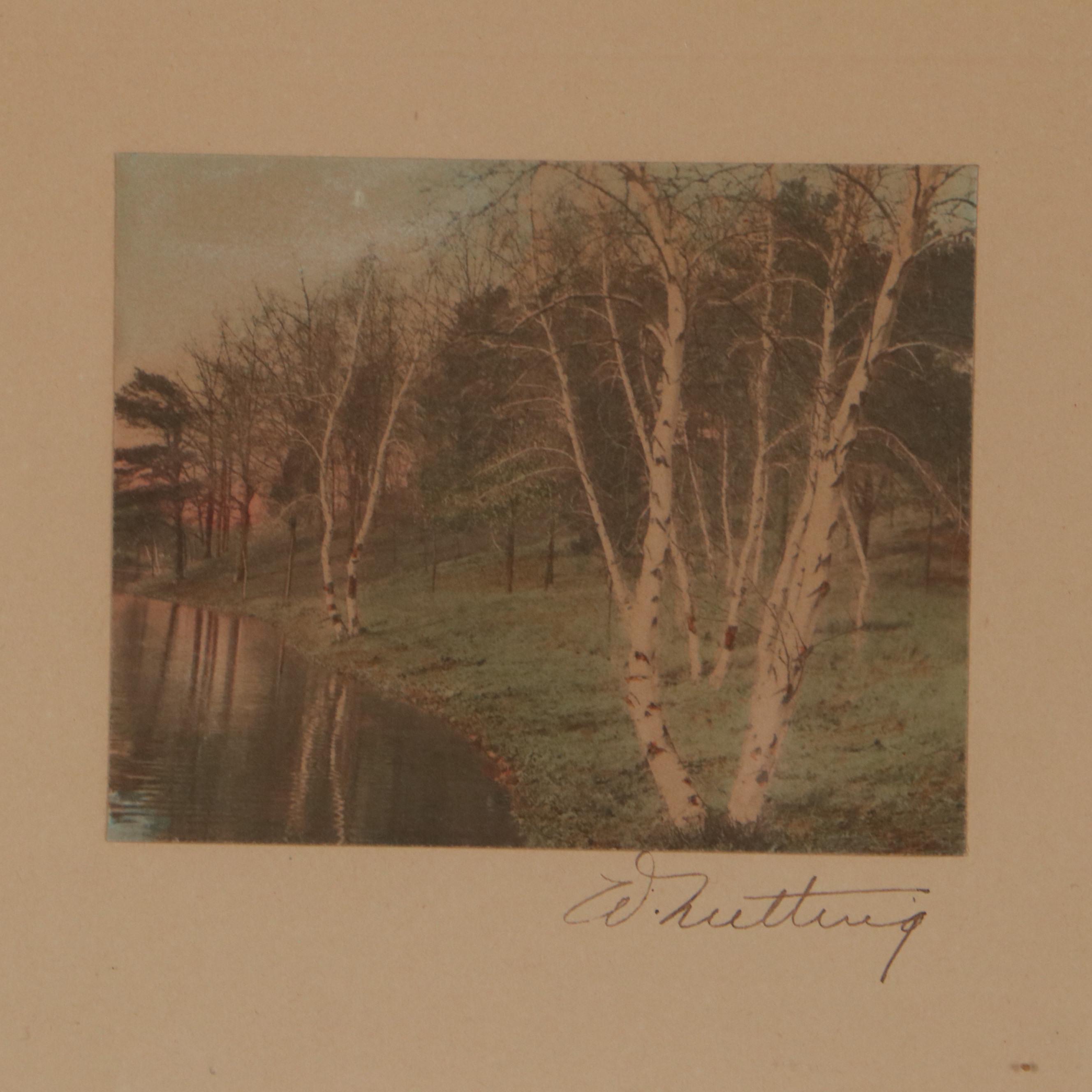 Wallace Nutting Hand-Colored Photographs Including "Oak Curves"