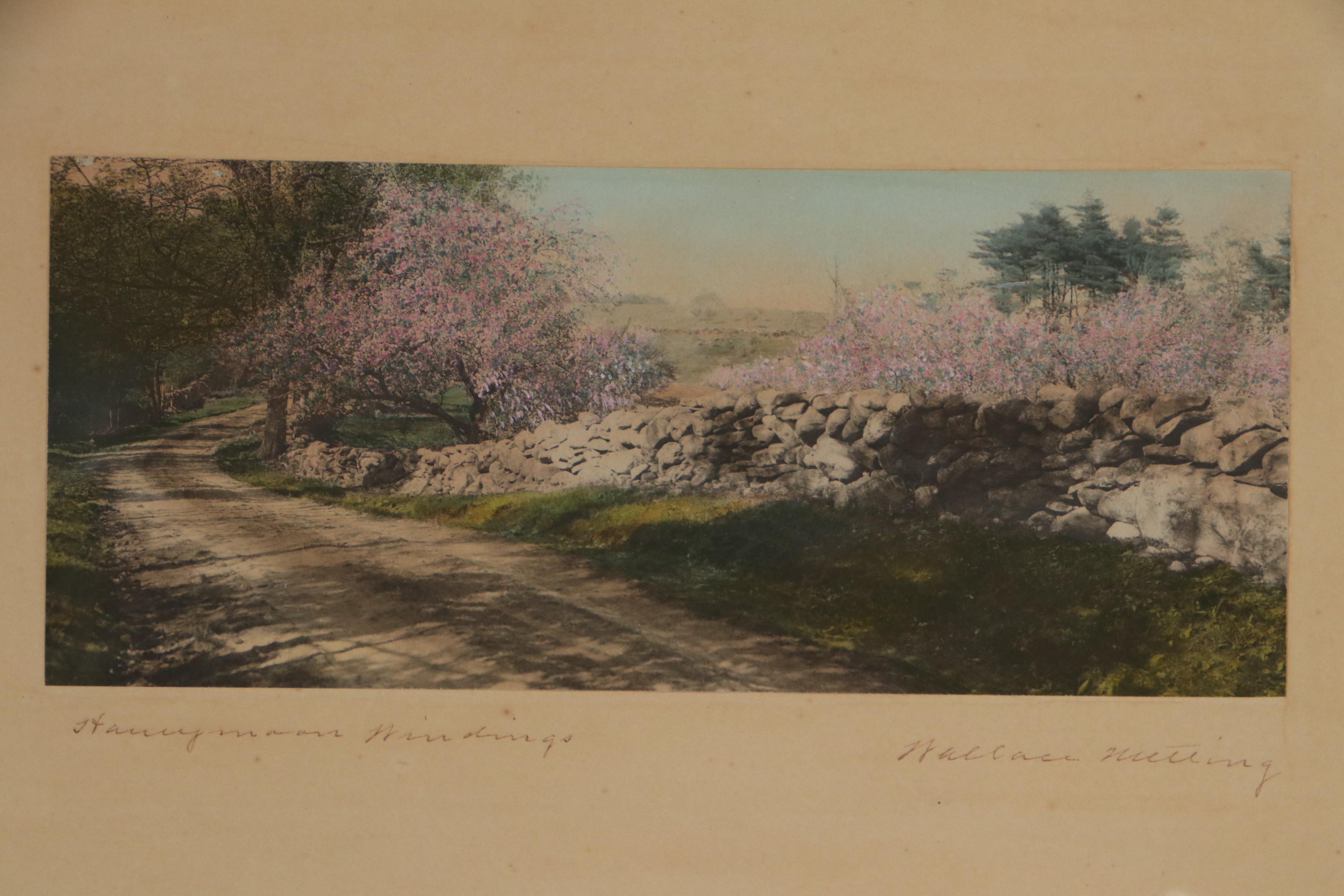 Wallace Nutting Hand-Colored Photographs Including "Oak Curves"