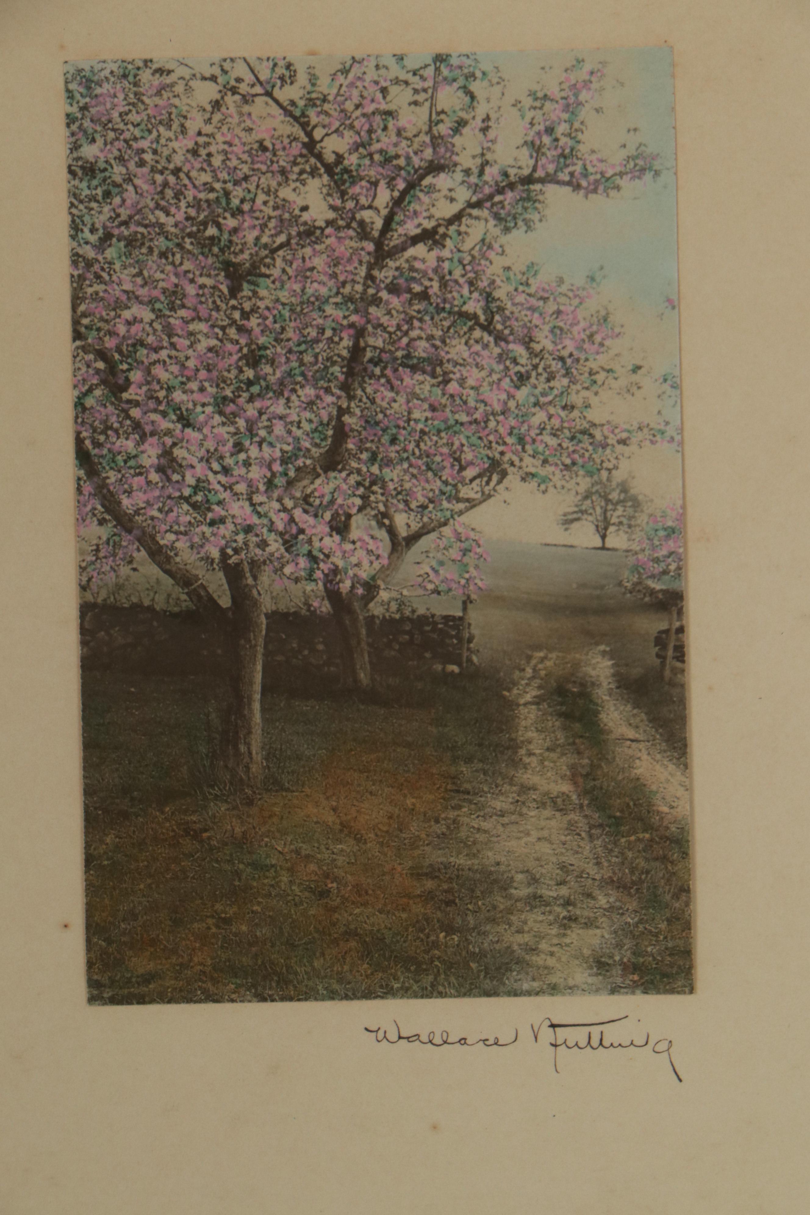 Wallace Nutting Hand-Colored Photographs Including "Oak Curves"
