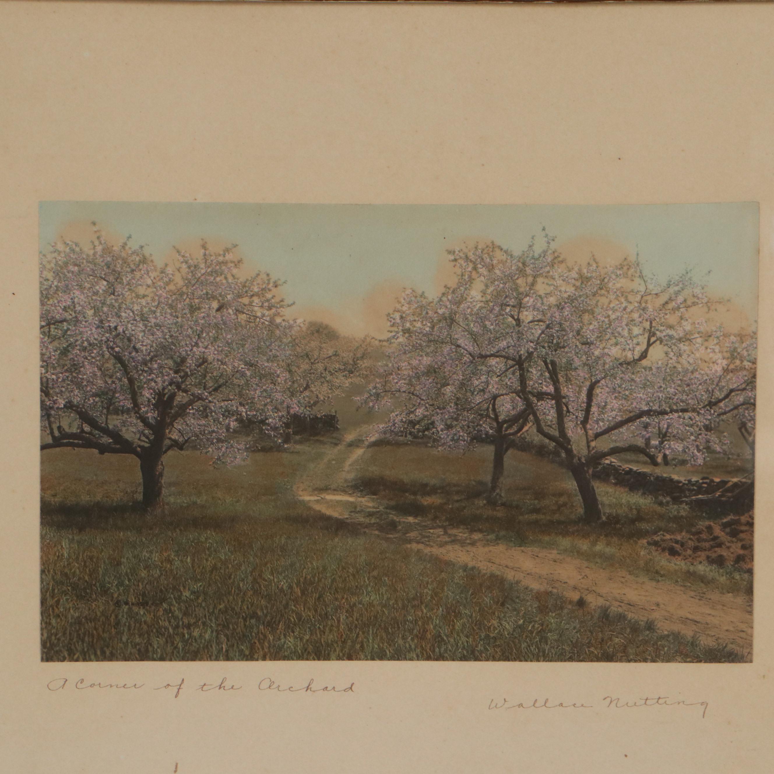 Wallace Nutting Hand-Colored Photographs Including "The Swimming Pool"