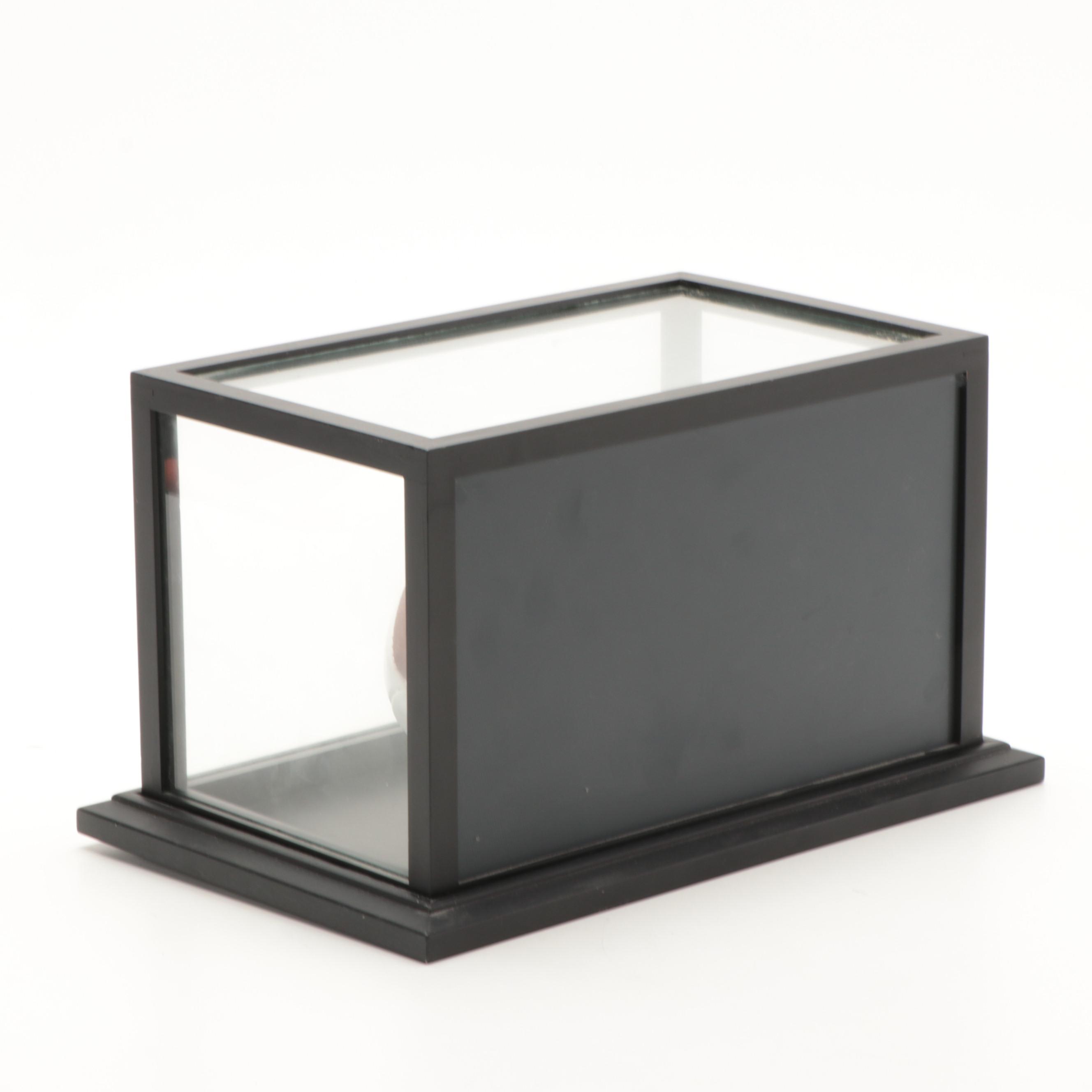 NCAA Notre Dame Gerry Faust, Brian Kelly Signed Wilson Football in Case