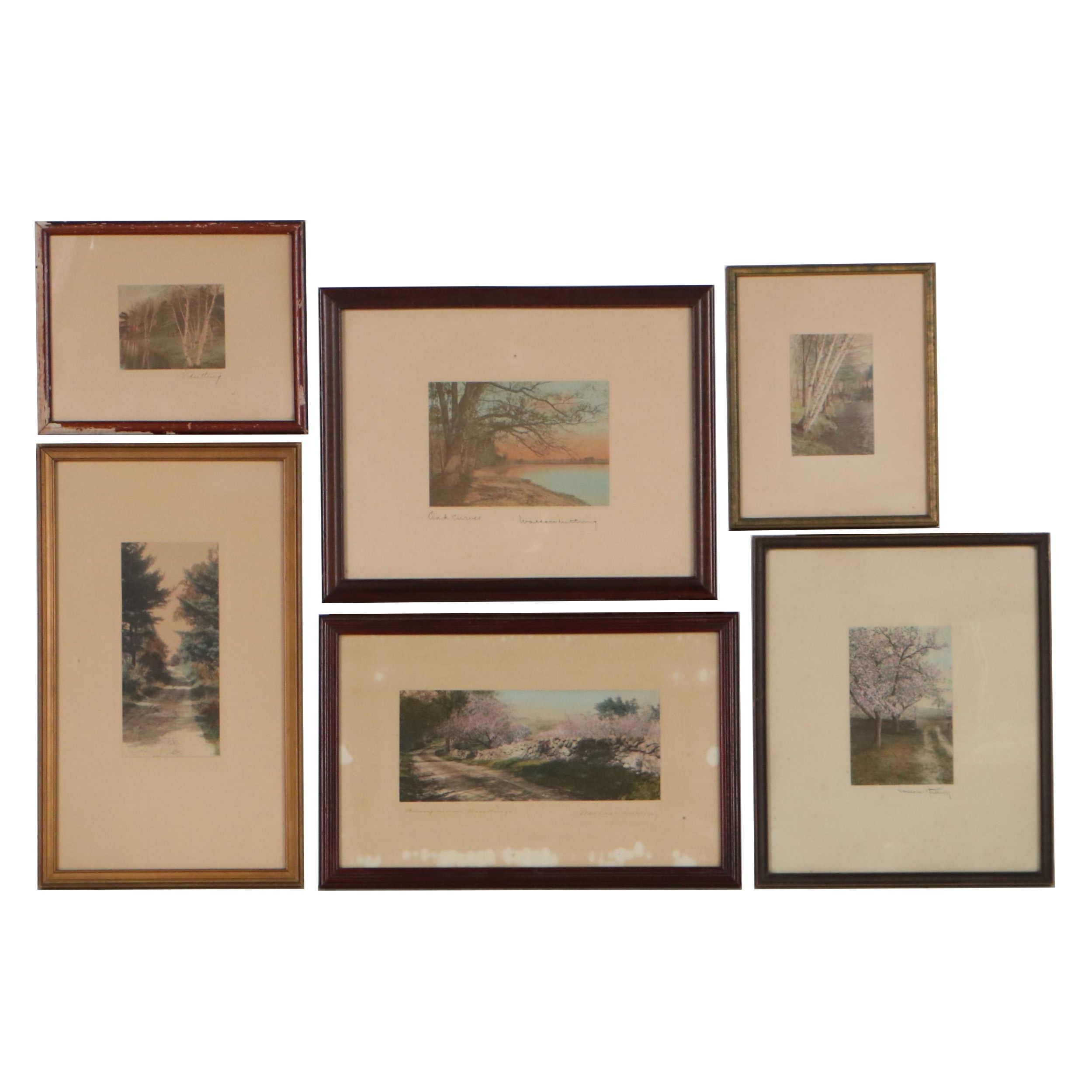 Wallace Nutting Hand-Colored Photographs Including "Oak Curves"