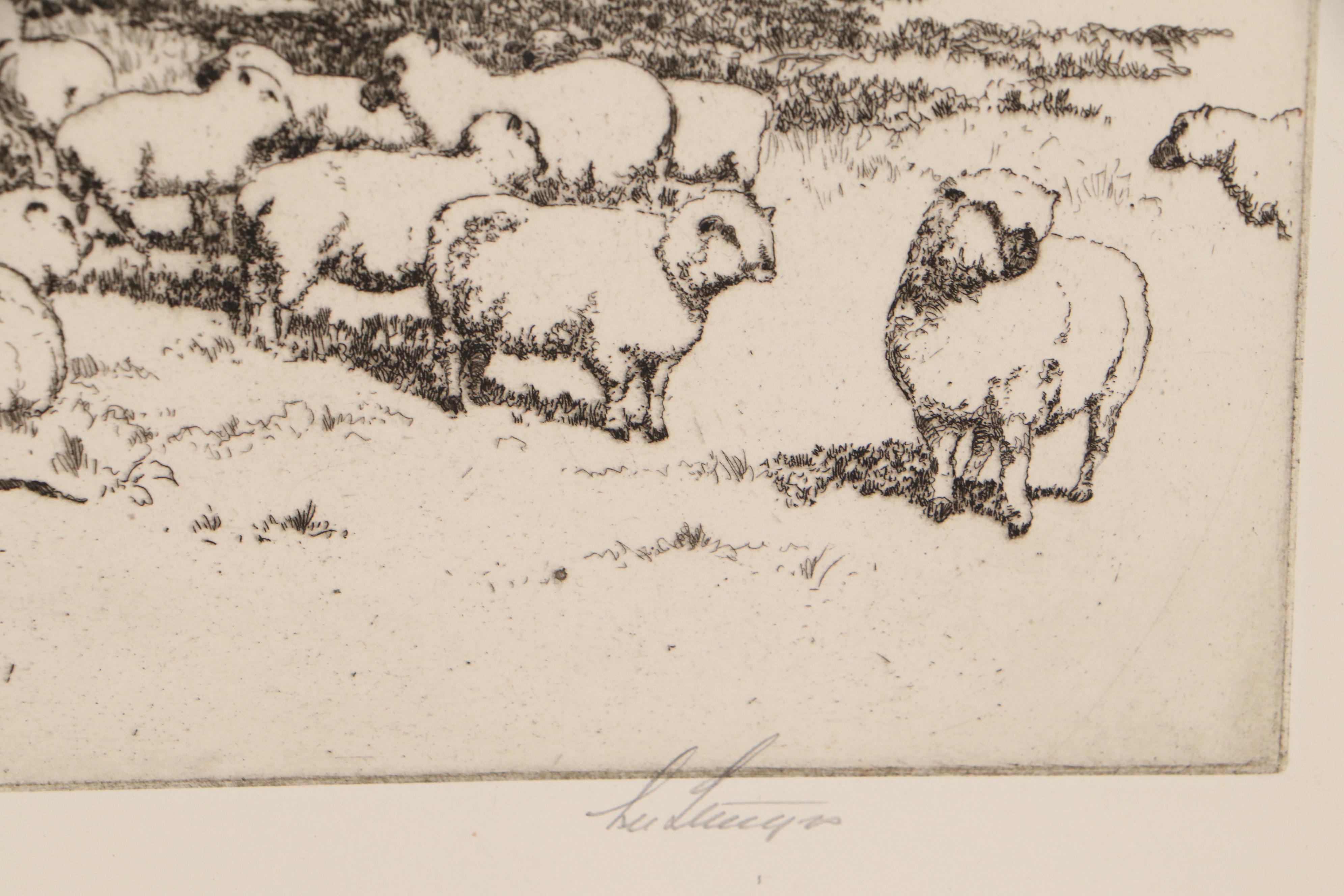 Lee Sturges Etching "The Sheep Pasture," Early 20th Century