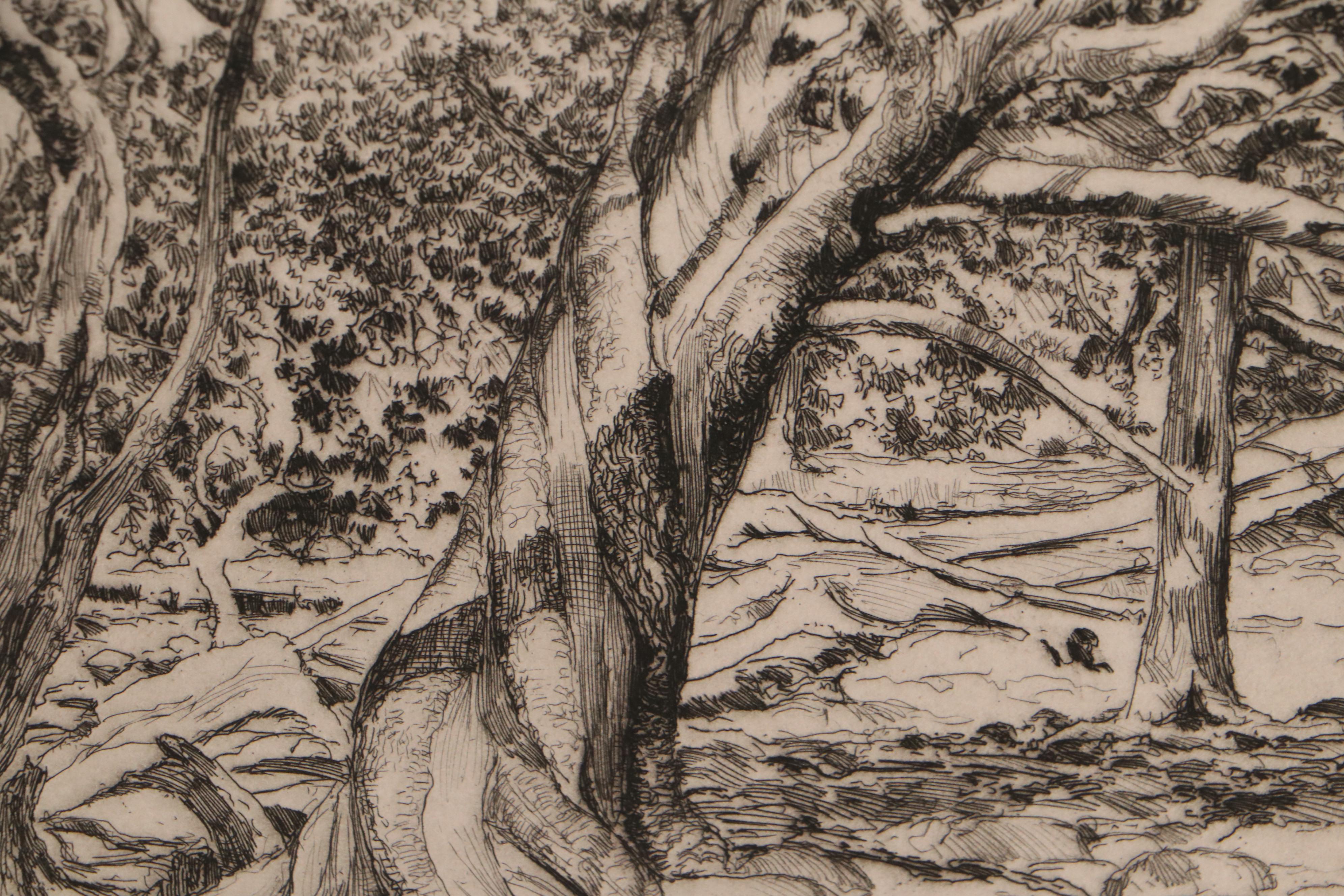 Lee Sturges Etching "A Veteran of the Timberline," 1925