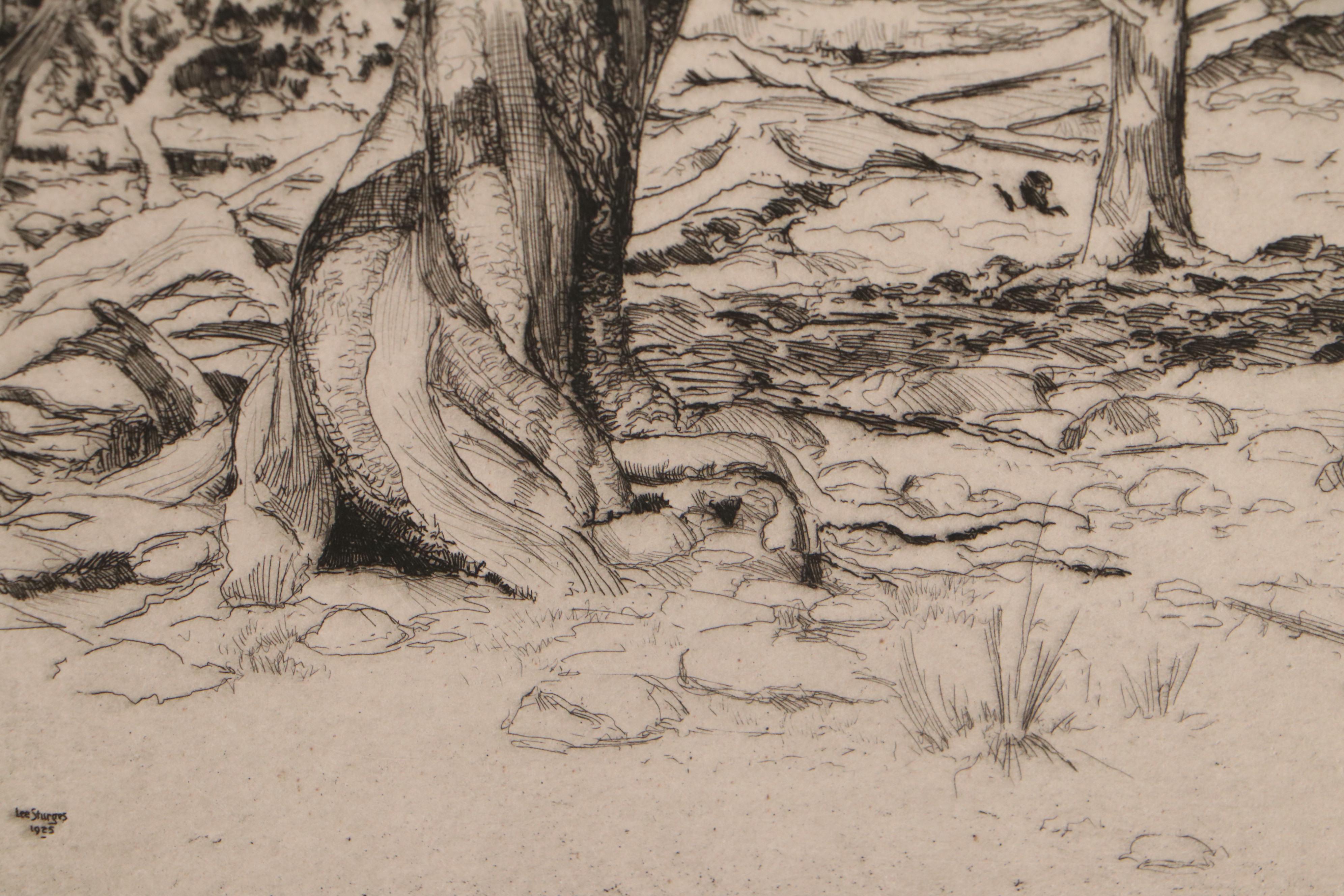 Lee Sturges Etching "A Veteran of the Timberline," 1925