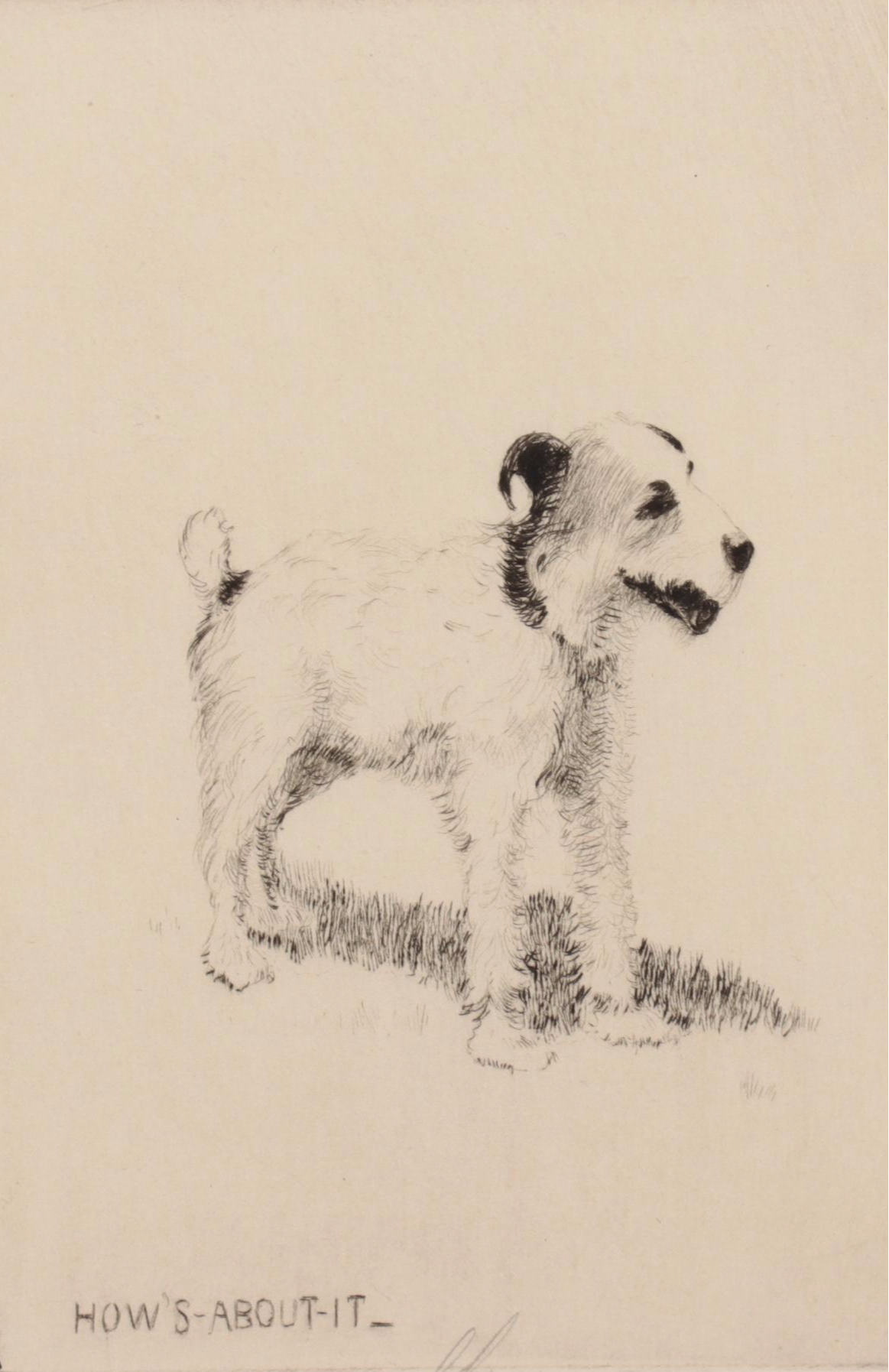 Lee Sturges Etchings of Dogs, Early 20th Century