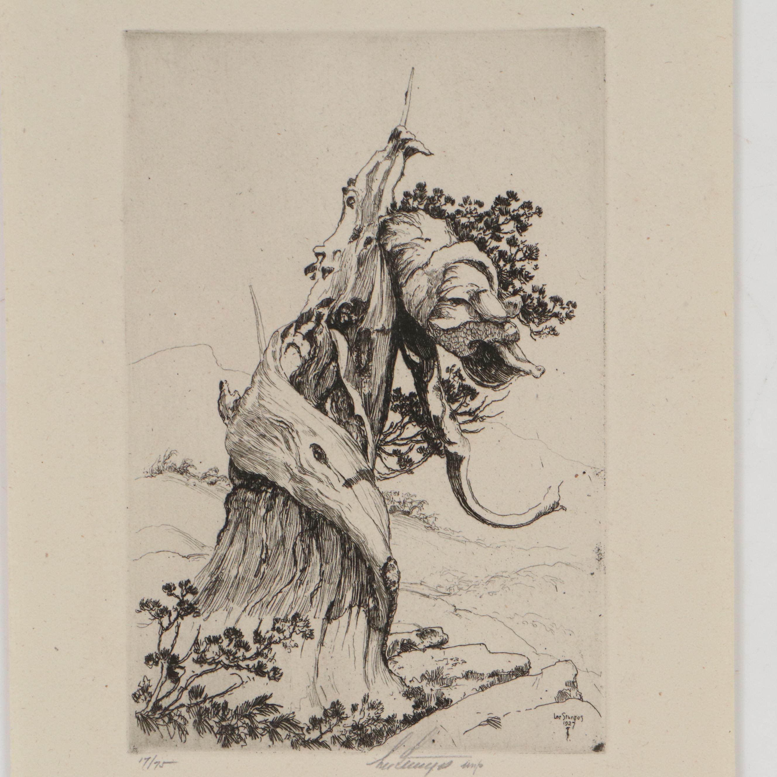 Lee Sturges Etching Prints, Early 20th Century