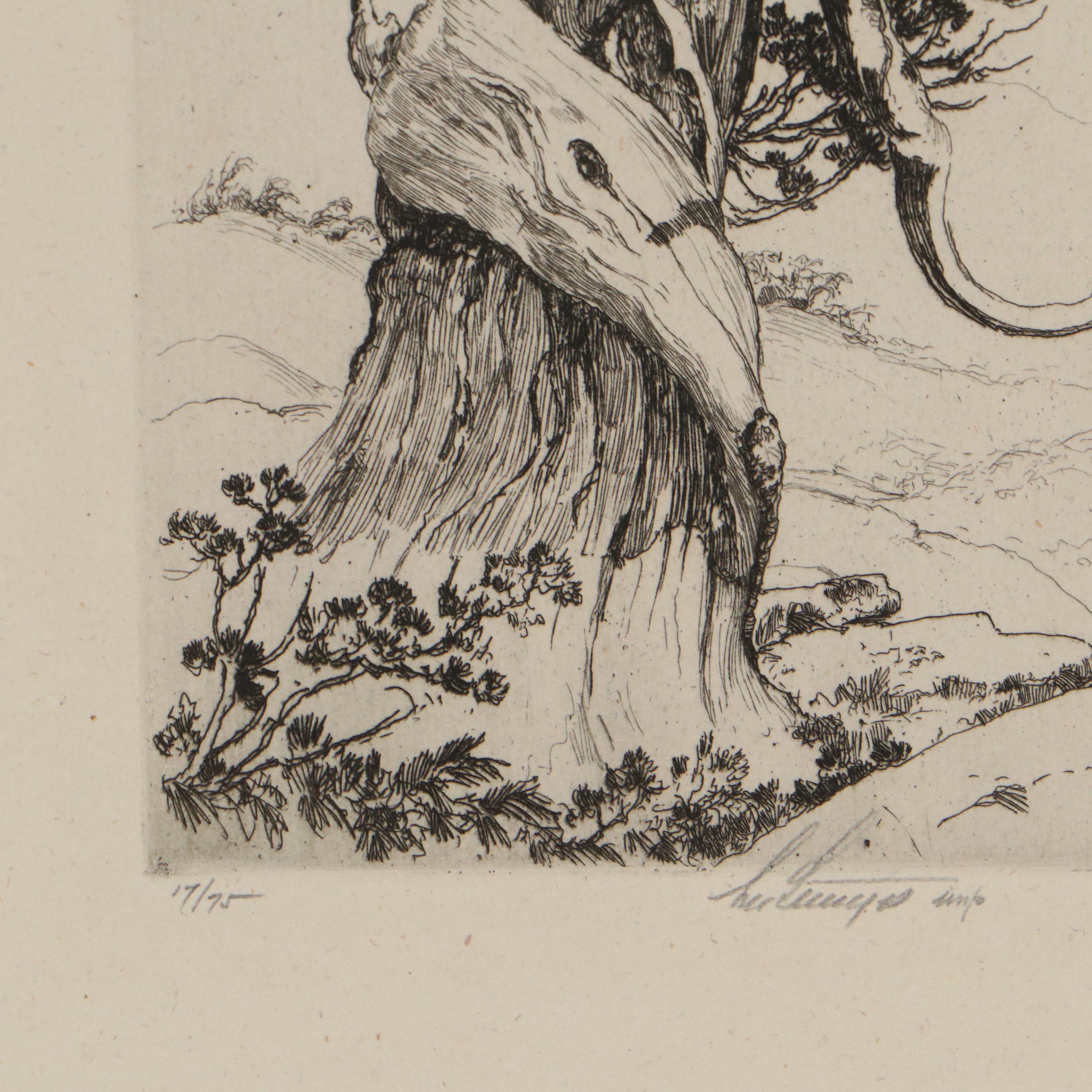 Lee Sturges Etching Prints, Early 20th Century
