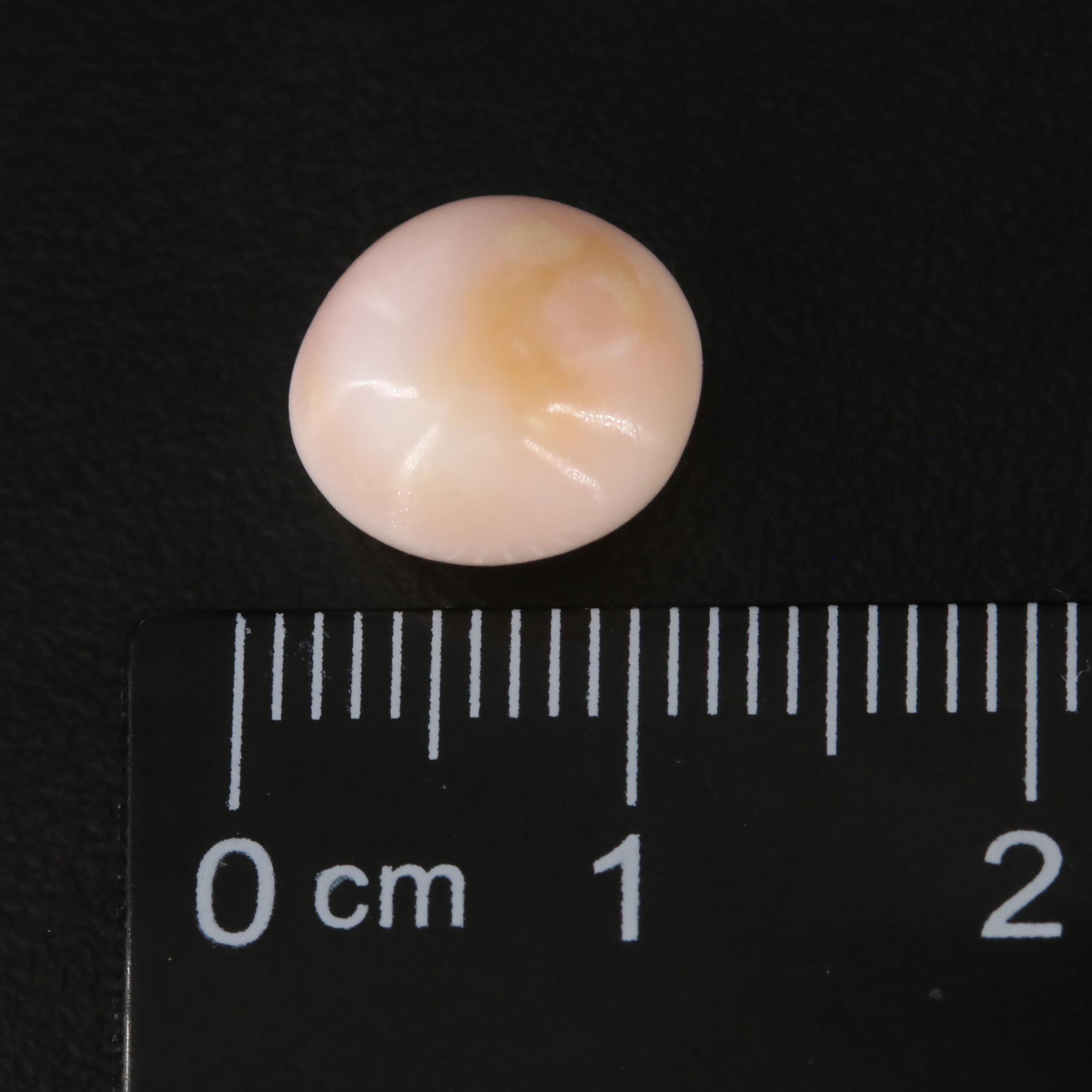 Loose 5.90 CT Baroque Conch Pearl