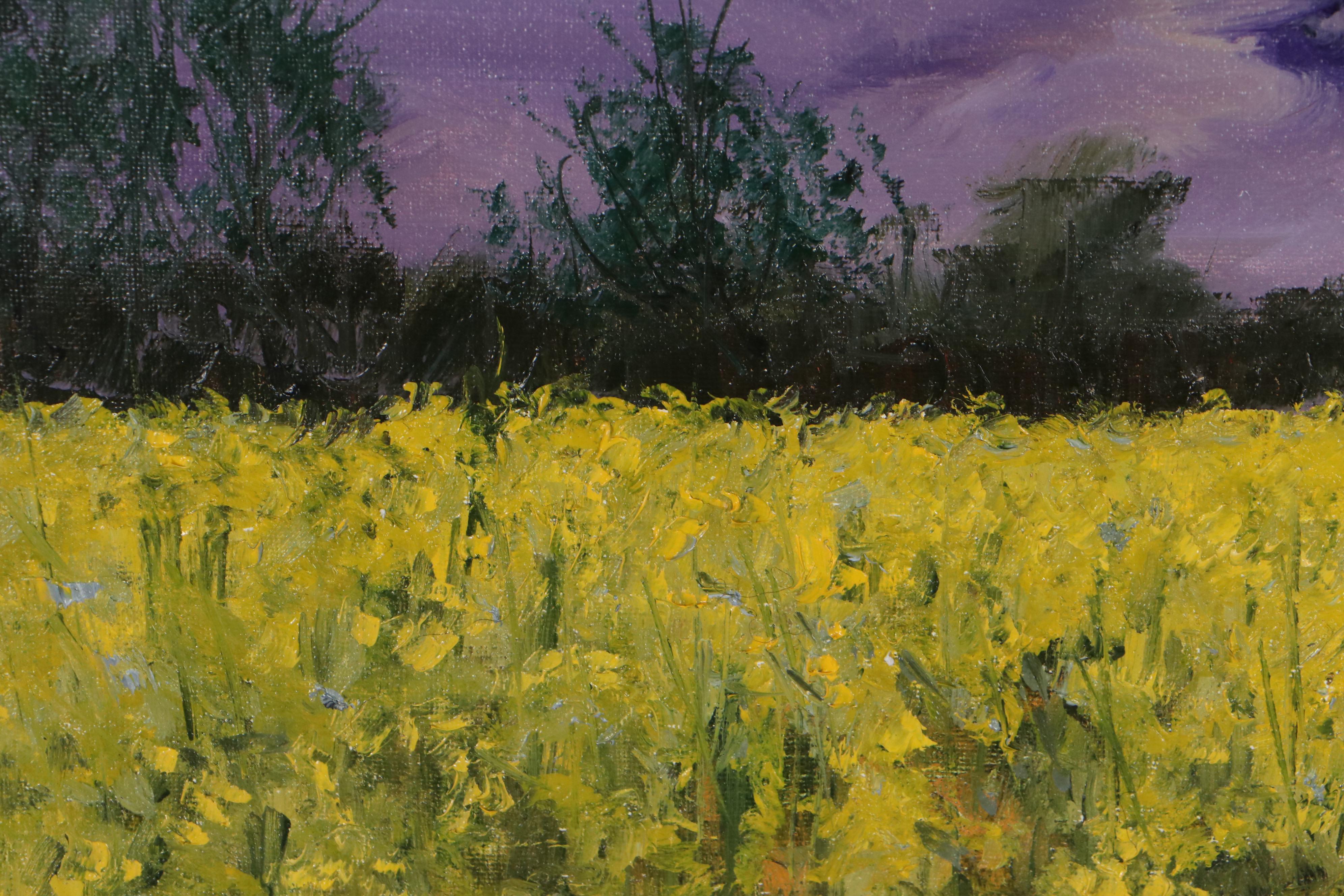 Garncarek Aleksander Landscape Oil Painting "Zolte Pole," 2022