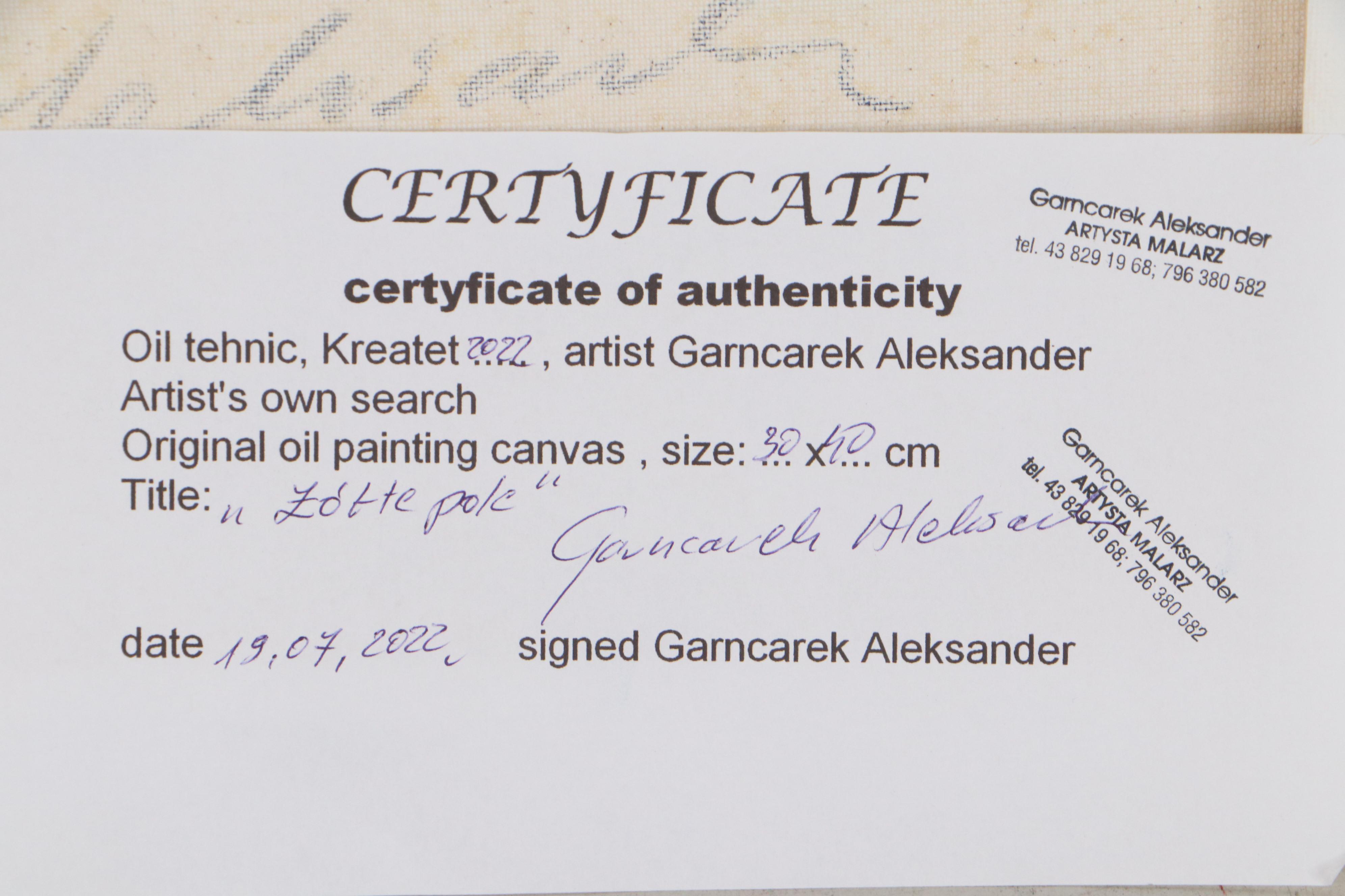 Garncarek Aleksander Landscape Oil Painting "Zolte Pole," 2022