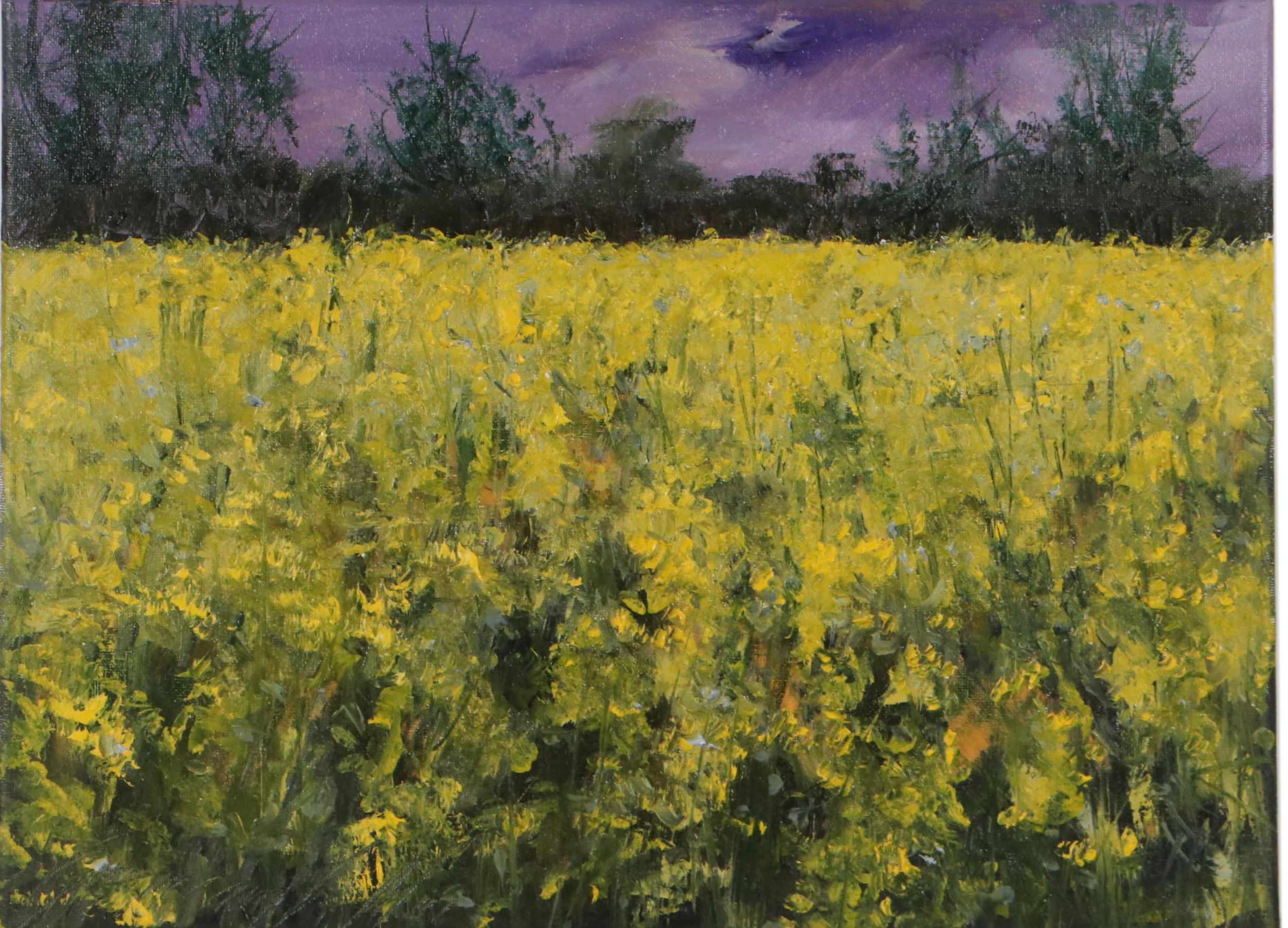 Garncarek Aleksander Landscape Oil Painting "Zolte Pole," 2022