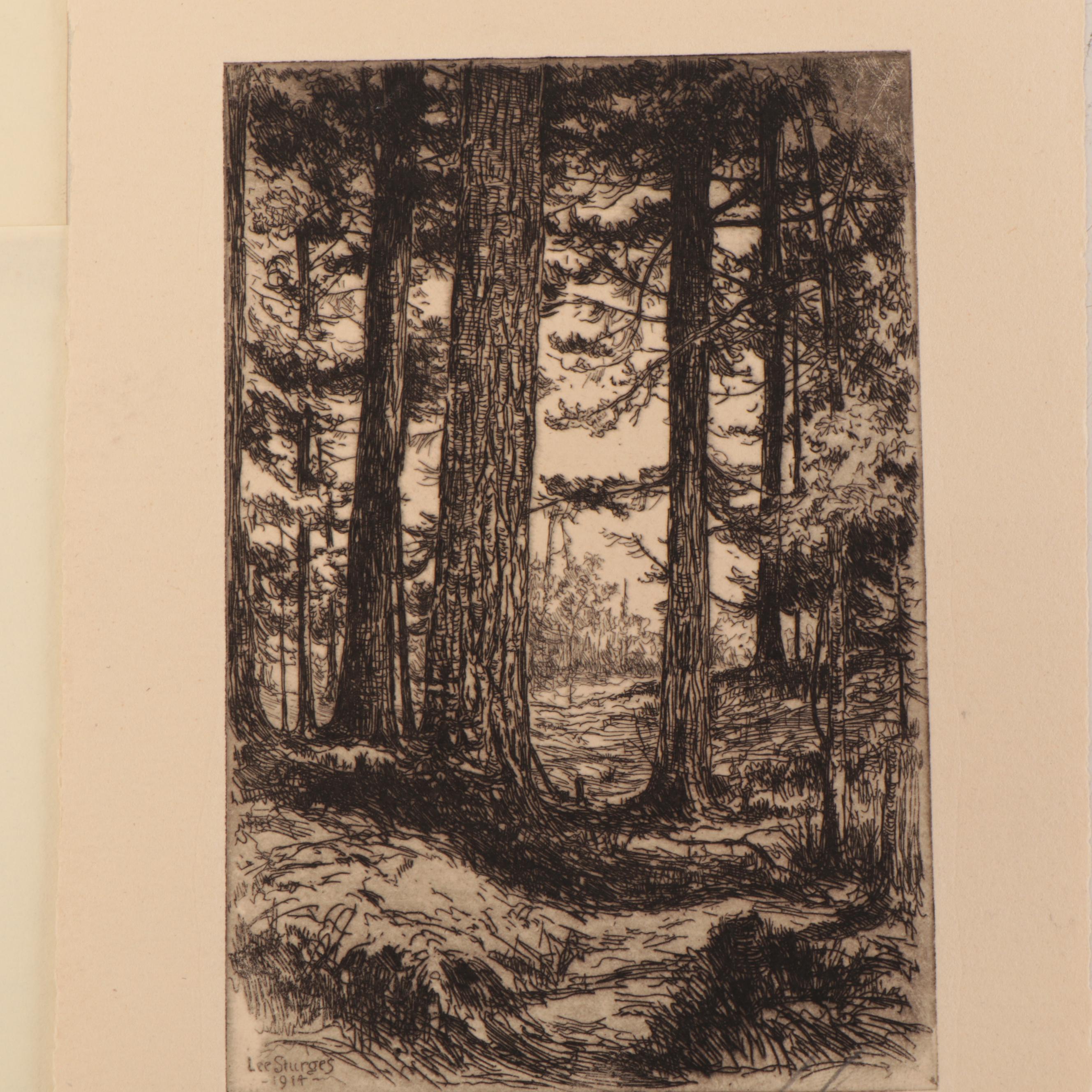 Lee Sturges Mountain Landscape Etchings, Circa 1930