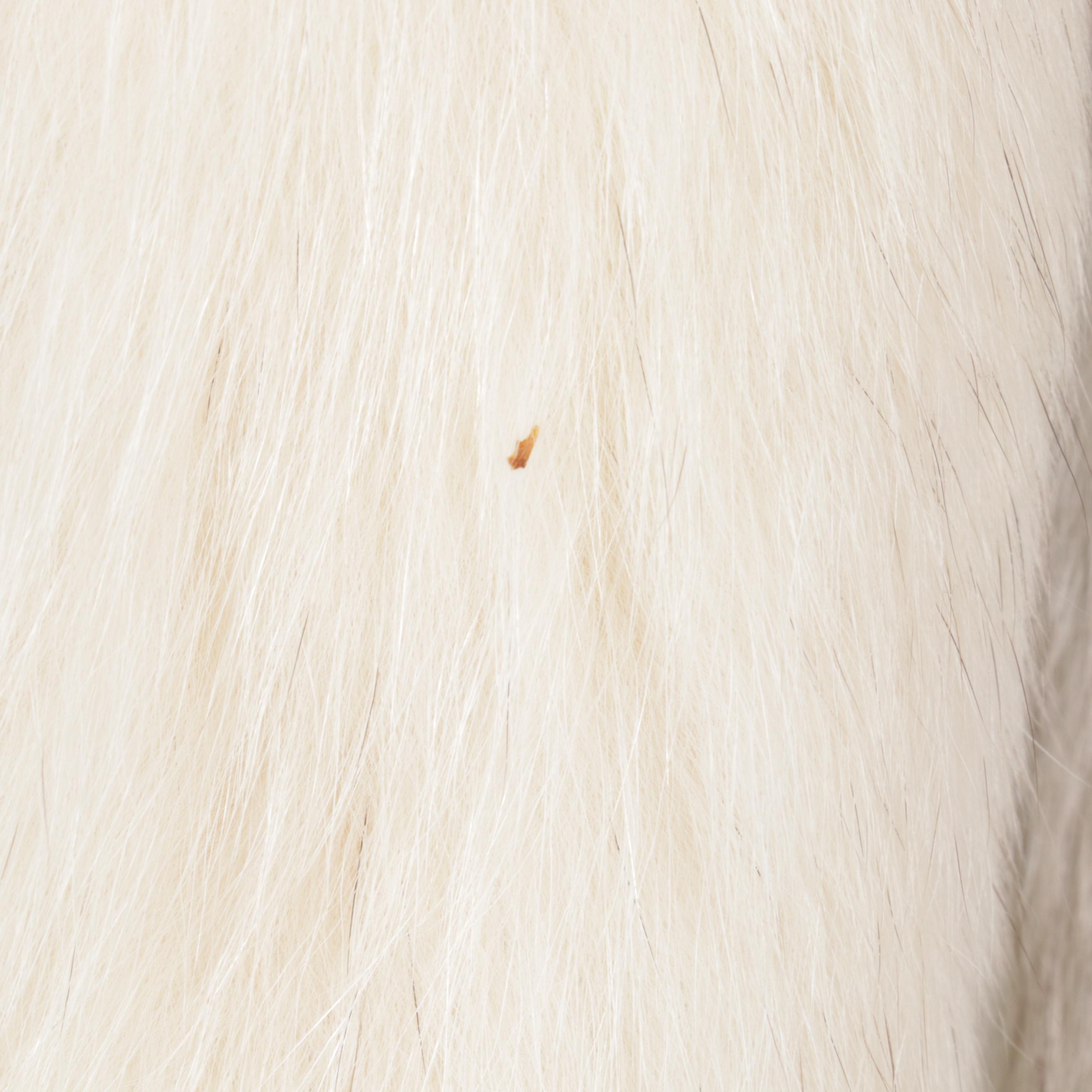 Saga Fox Finnish Blue and Arctic Fox Fur Jacket