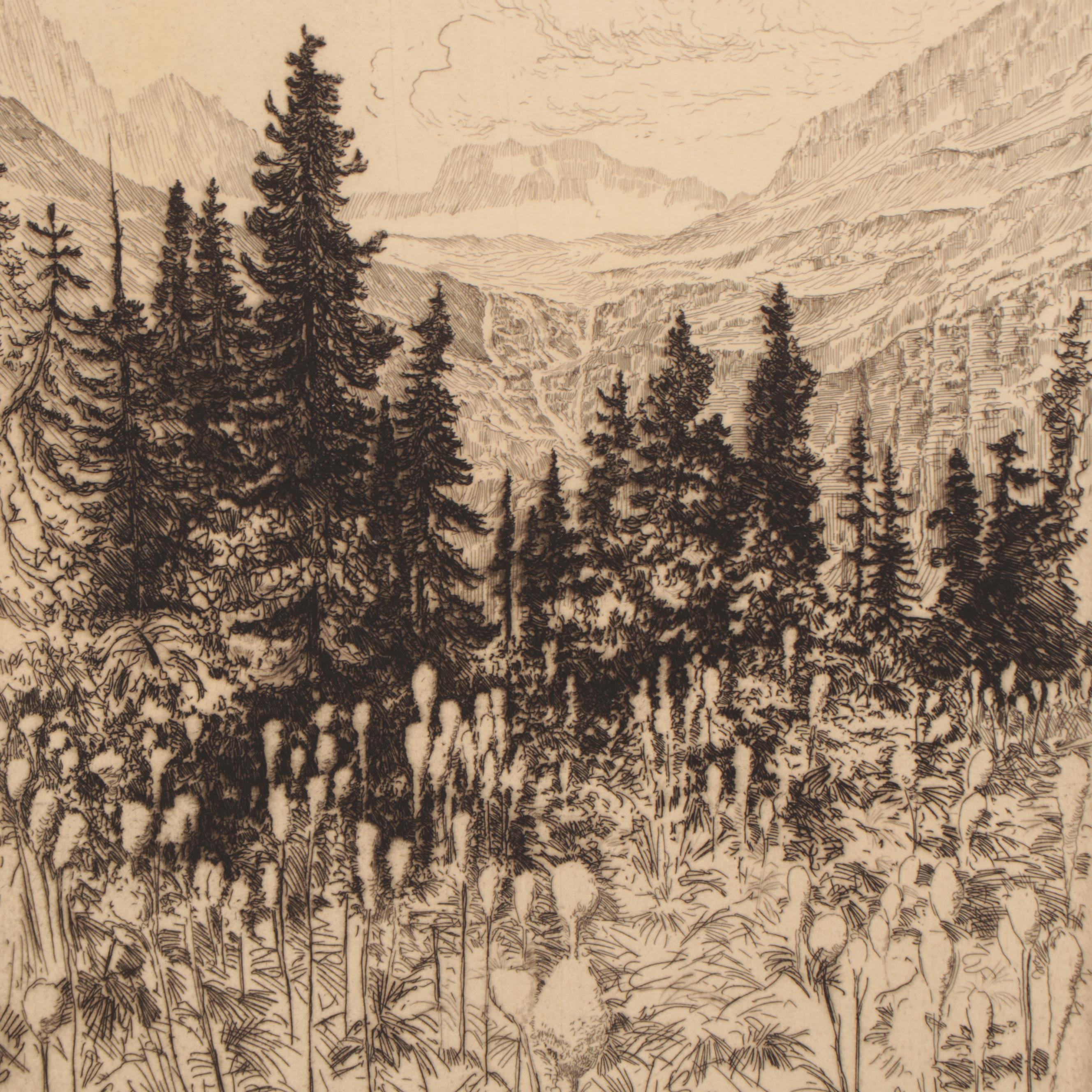 Lee Sturges Etching "Bear Grass," 1921