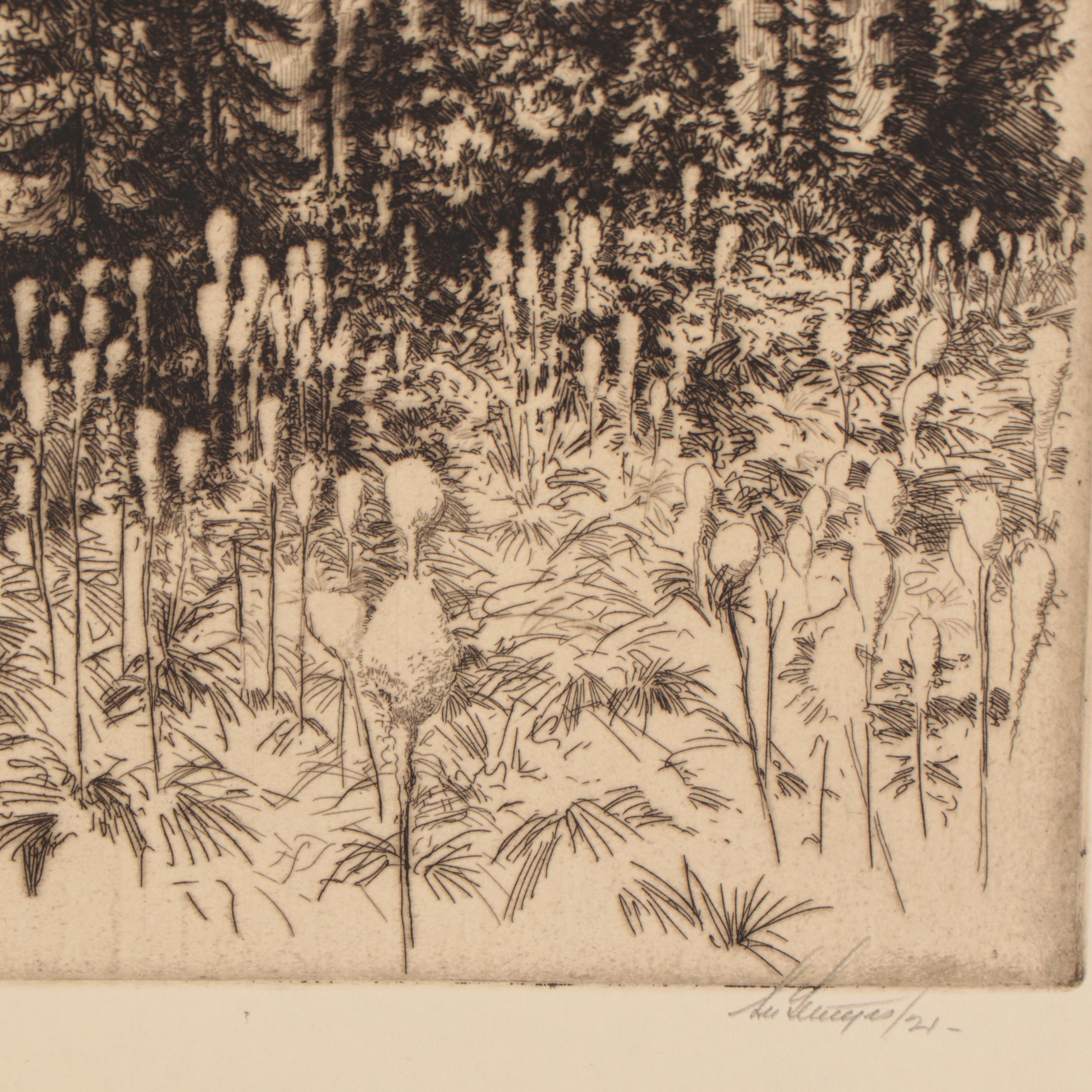 Lee Sturges Etching "Bear Grass," 1921