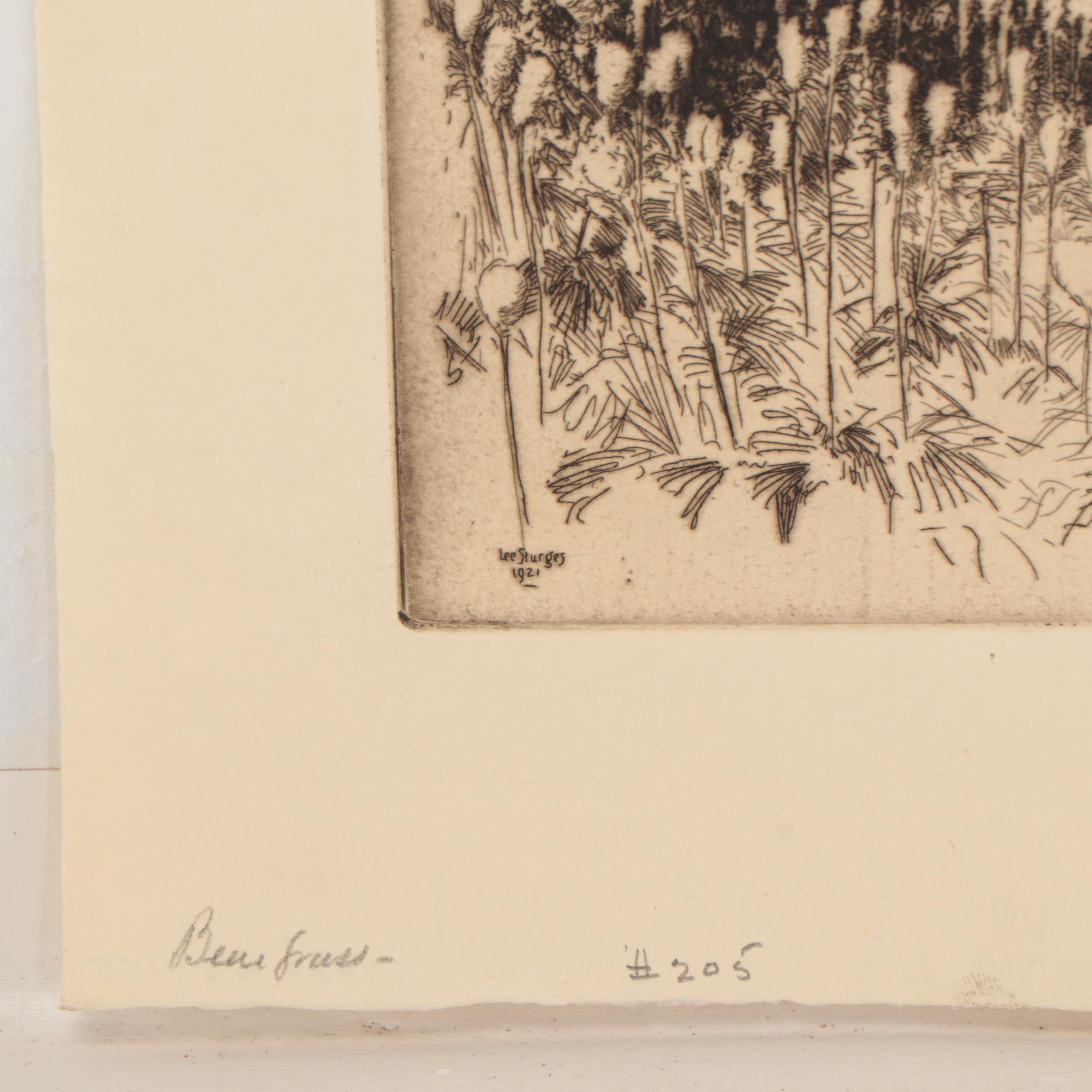 Lee Sturges Etching "Bear Grass," 1921