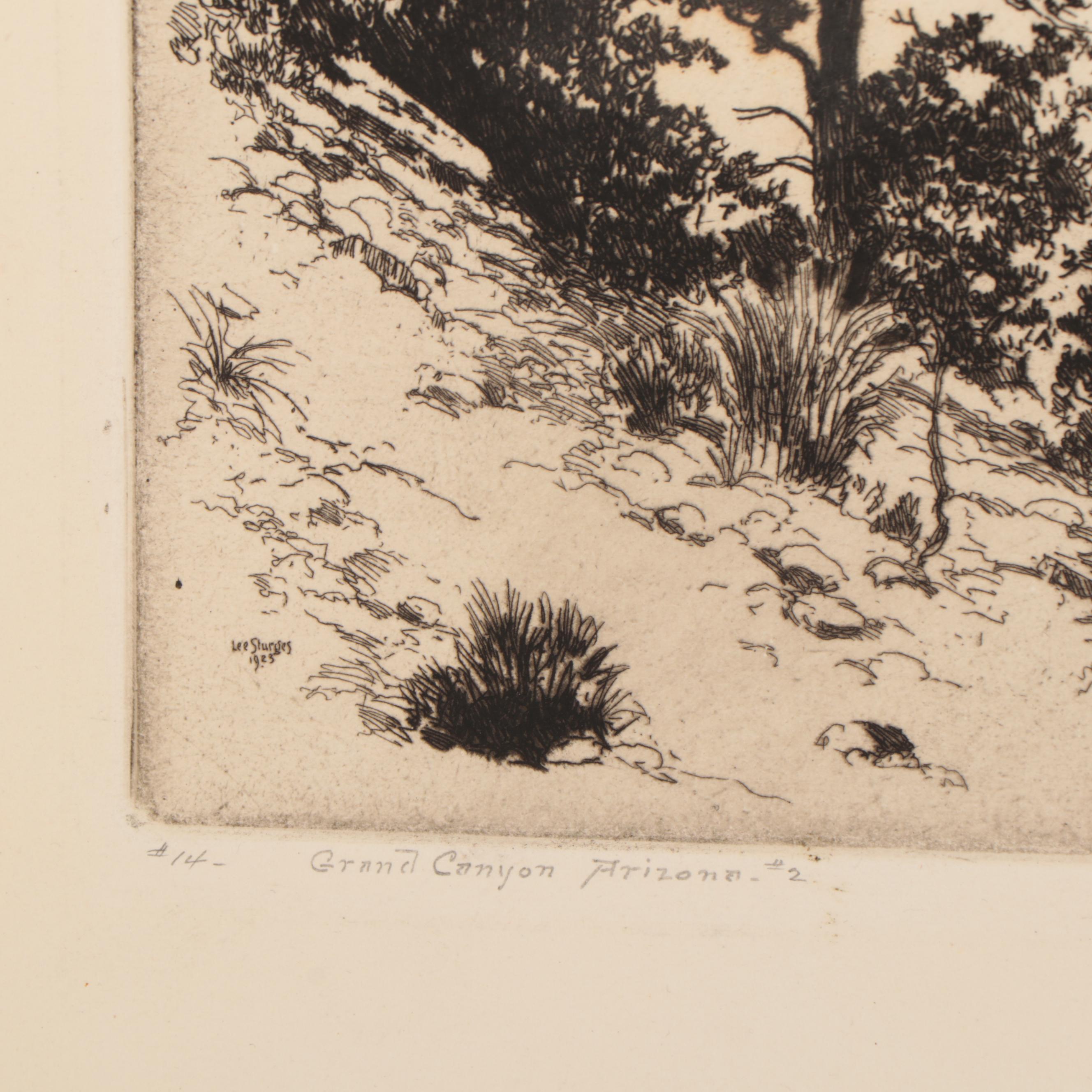 Lee Sturges Landscape Etching "Grand Canyon," Early 20th Century