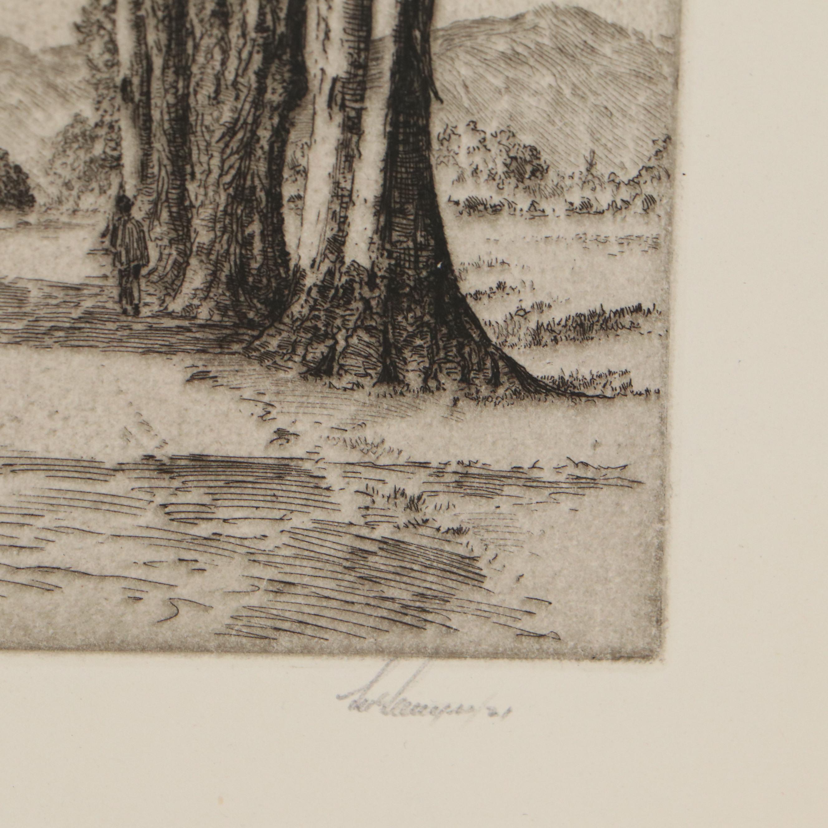 Lee Sturges Forest and Waterscape Etchings, Circa 1930