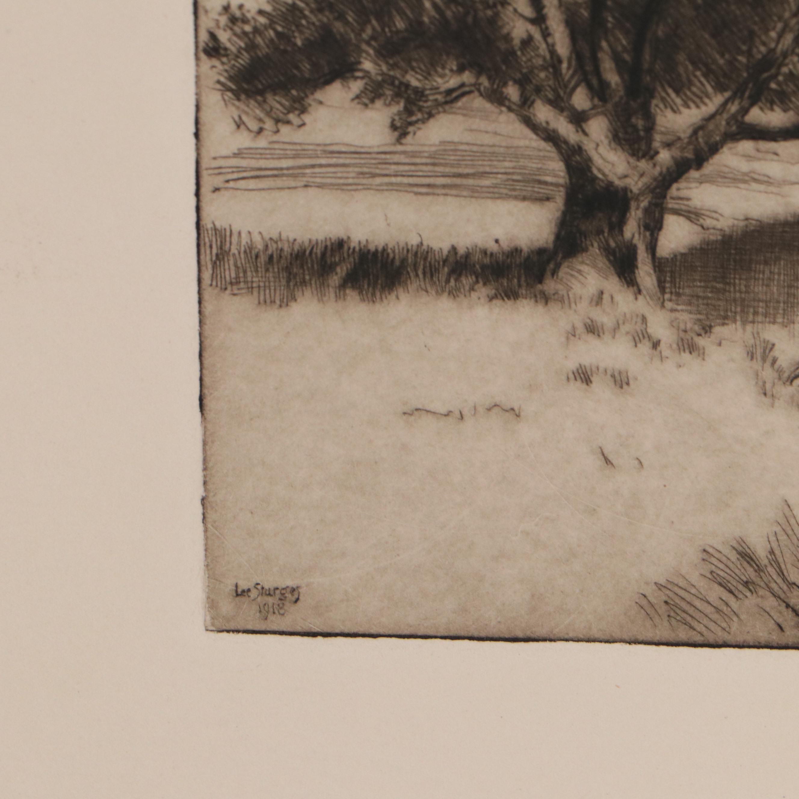 Lee Sturges Forest and Waterscape Etchings, Circa 1930