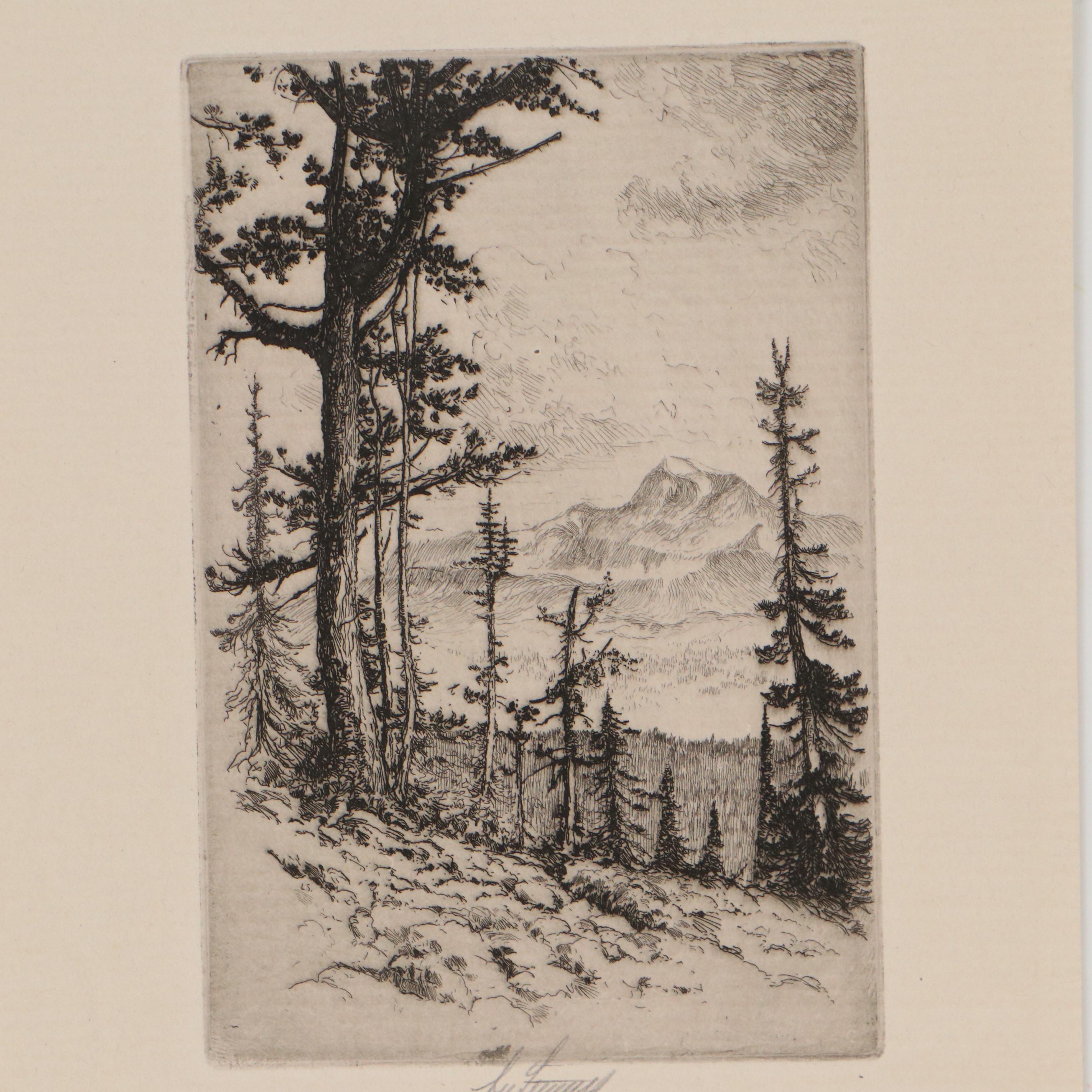 Lee Sturges Forest and Waterscape Etchings, Circa 1930