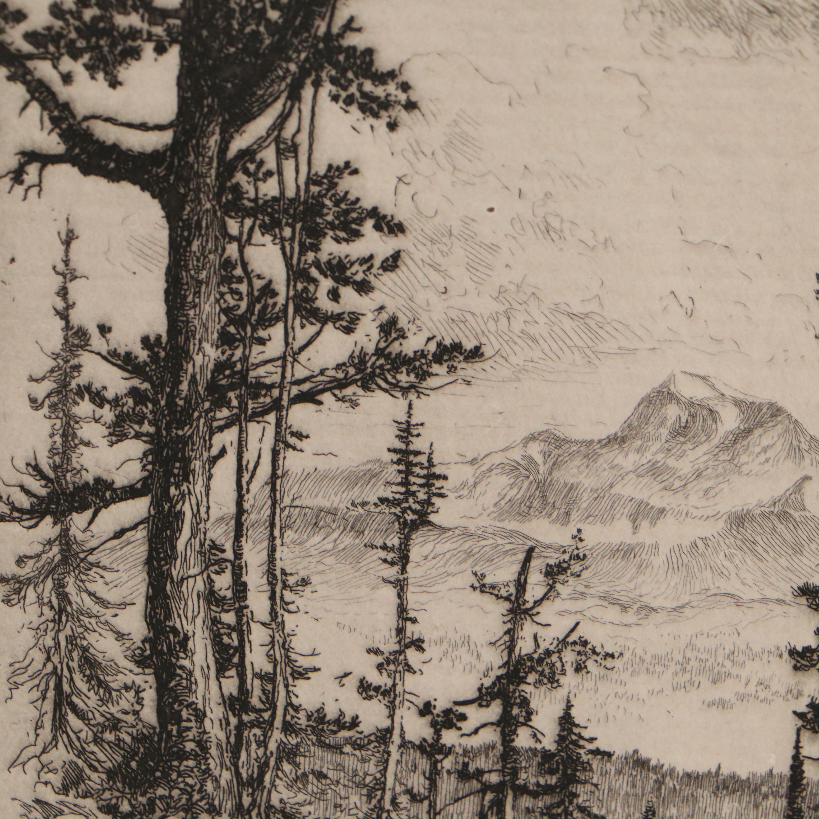 Lee Sturges Forest and Waterscape Etchings, Circa 1930