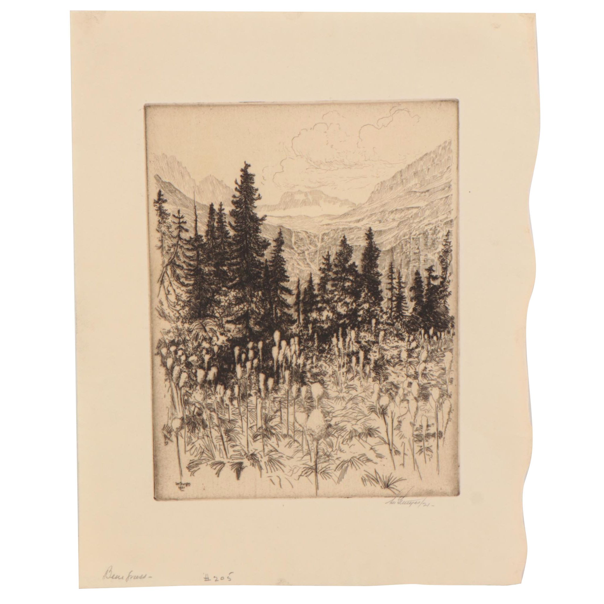 Lee Sturges Etching "Bear Grass," 1921