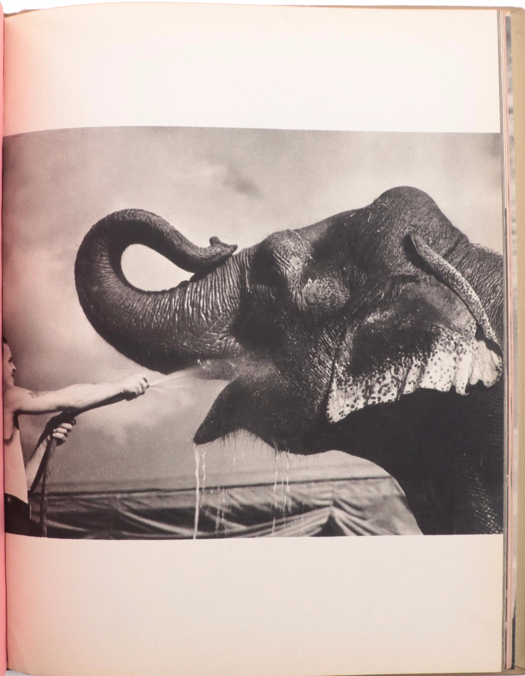 First Edition "Pink Lemonade" by Maxwell Frederic Coplan, 1945