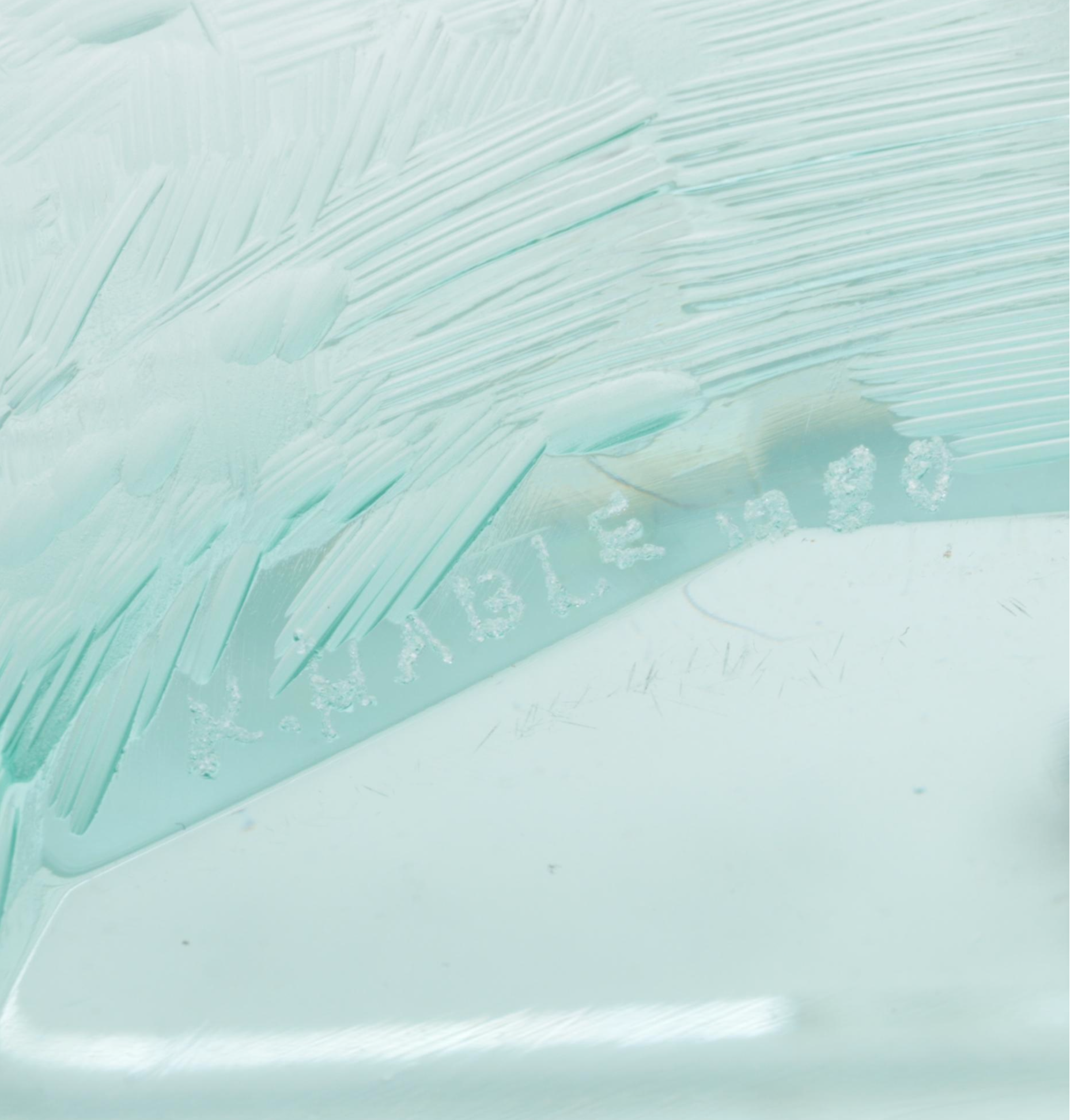 Konstantin Hable Jr. for Moser Trees, Stag and Birds Engraved Crystal Bowl, 1980