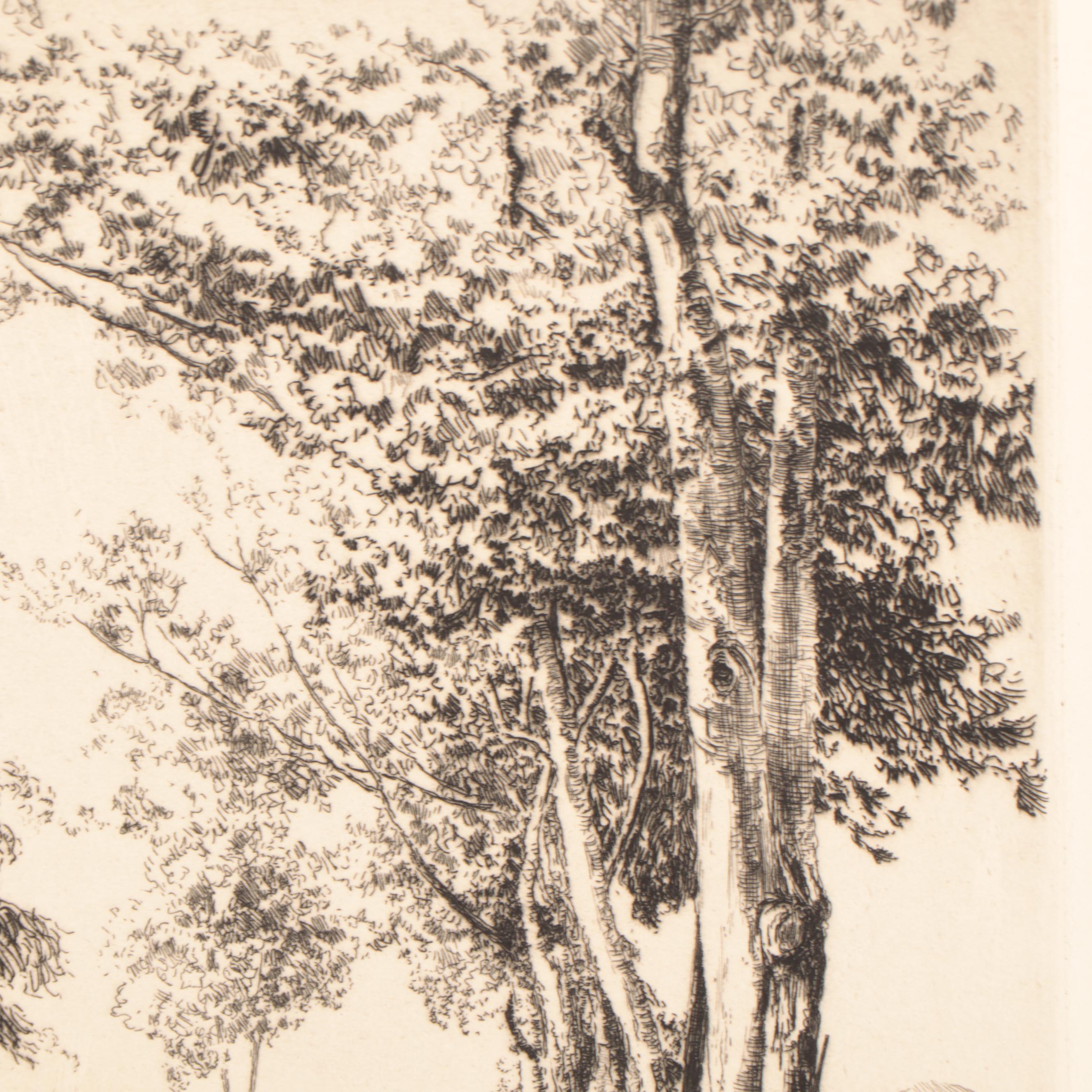 Lee Sturges Landscape Etching "Eucalyptus Trees," 1924