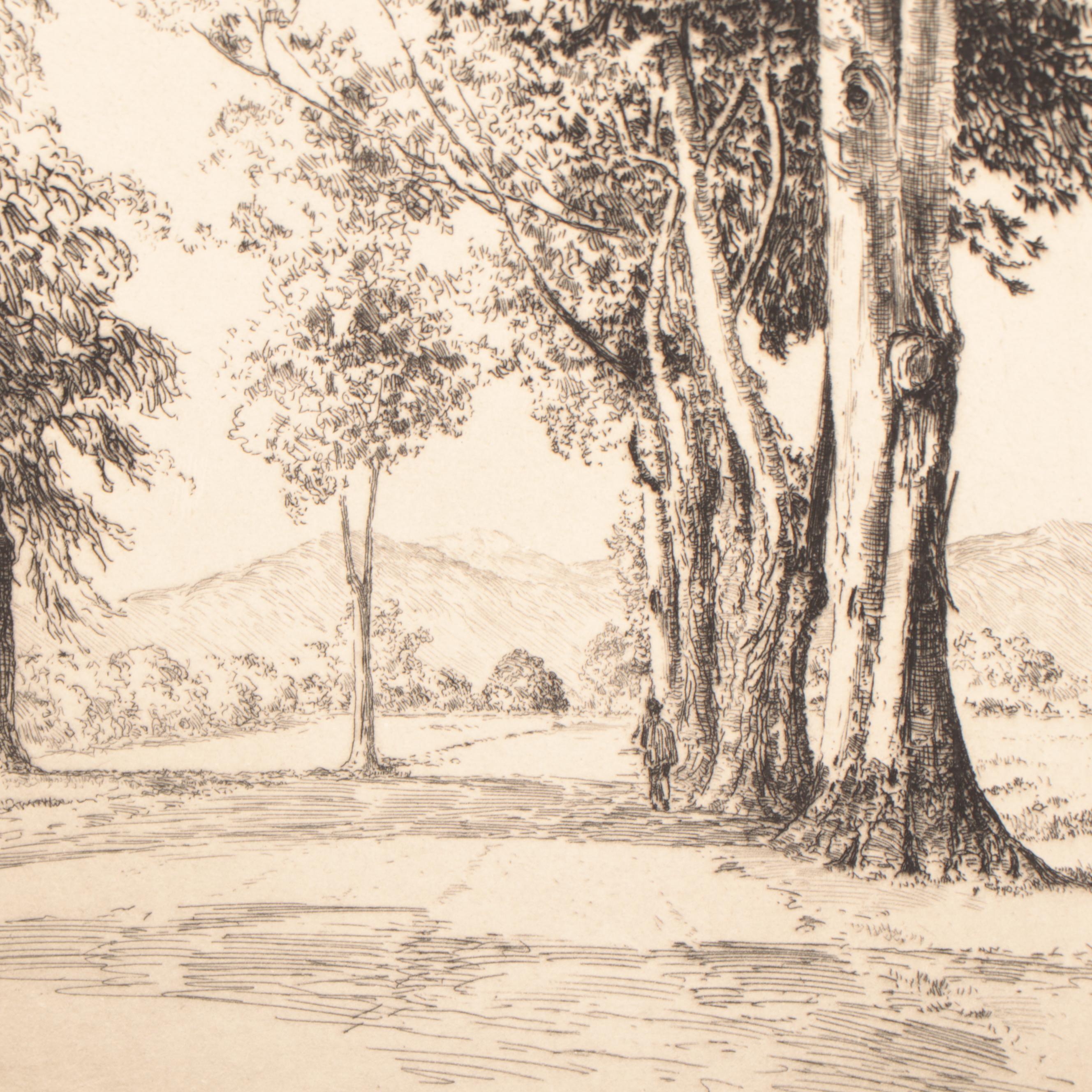 Lee Sturges Landscape Etching "Eucalyptus Trees," 1924