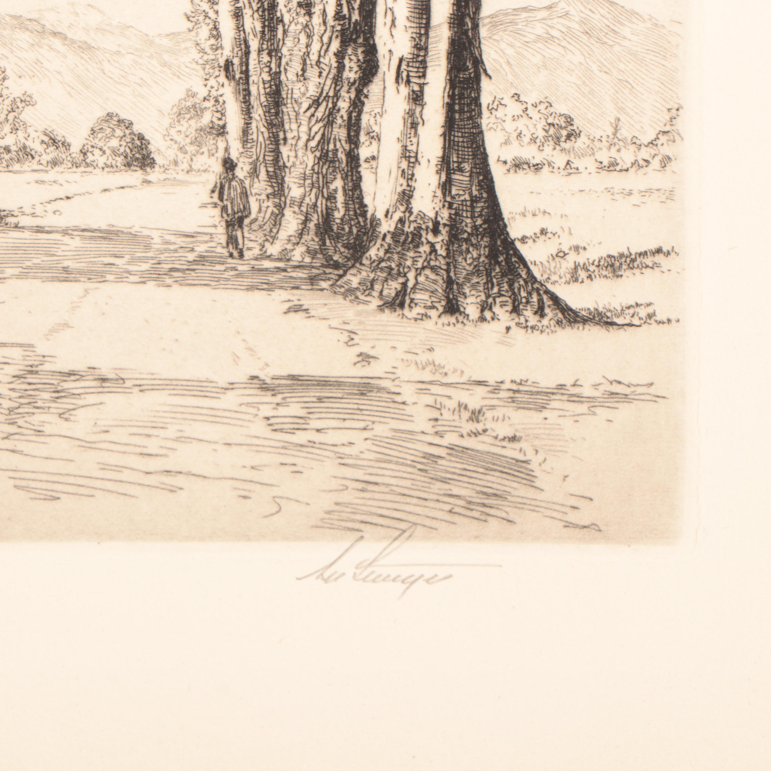 Lee Sturges Landscape Etching "Eucalyptus Trees," 1924