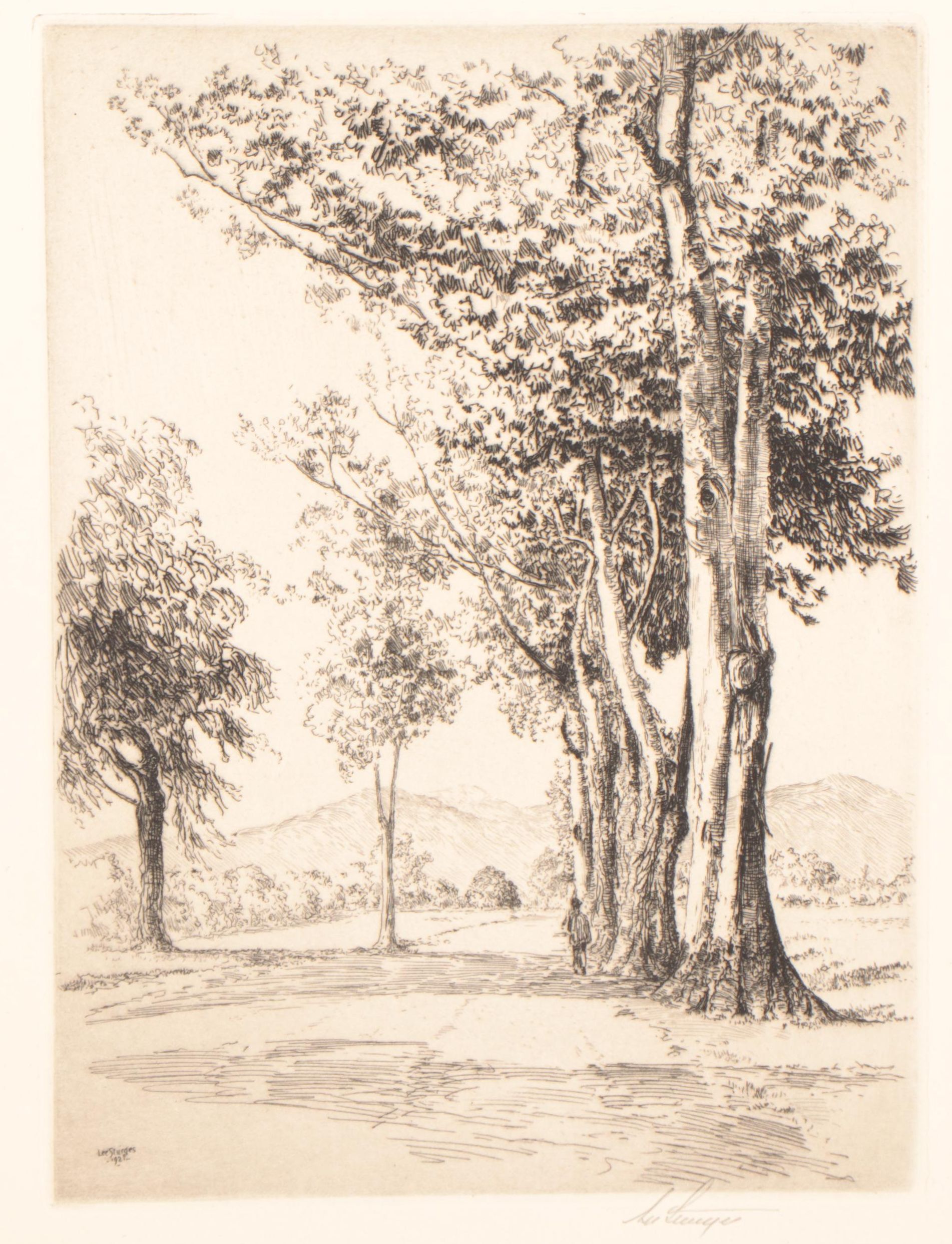 Lee Sturges Landscape Etching "Eucalyptus Trees," 1924