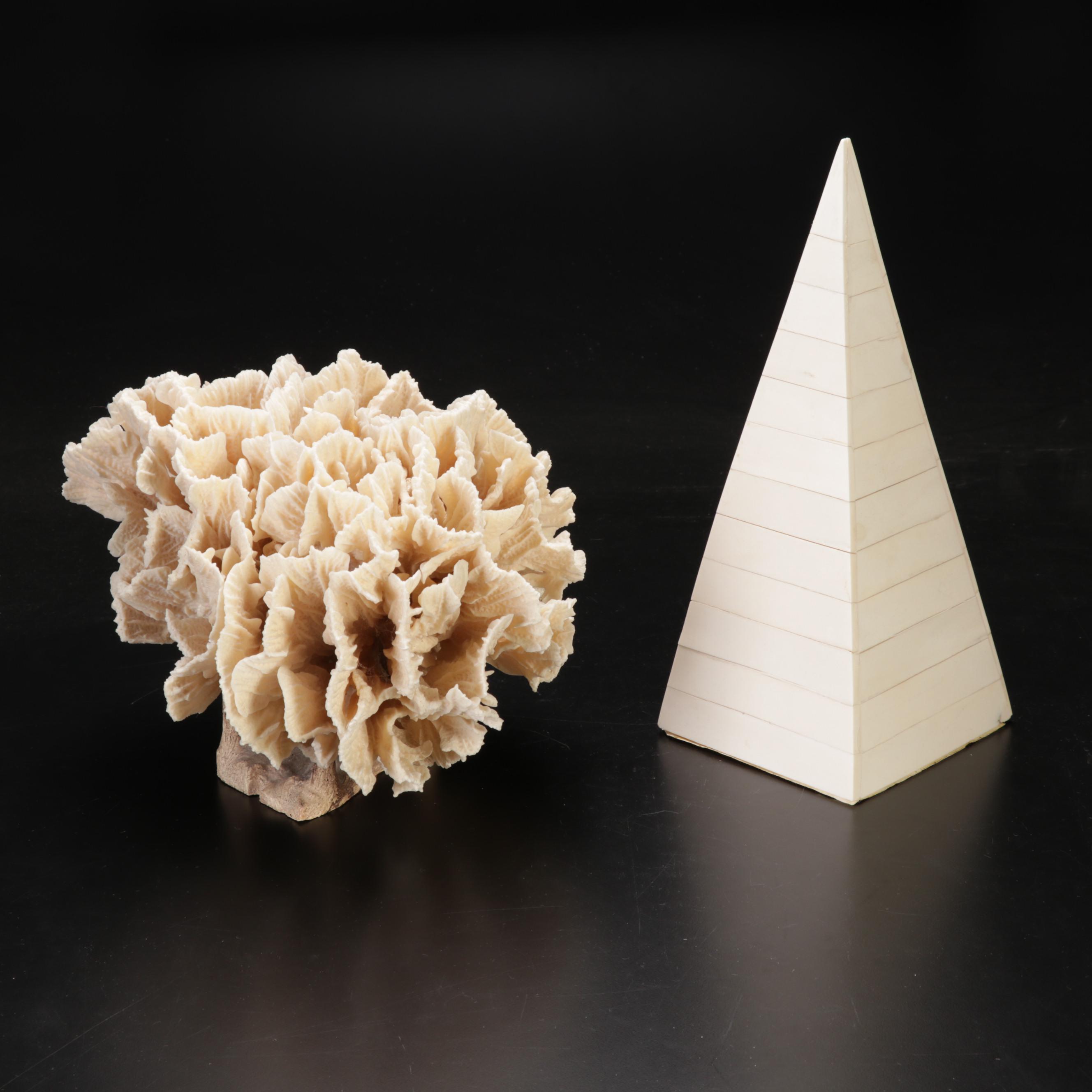 Large Fossil Scleractinian Stony Coral Specimen with Tessellated Obelisk