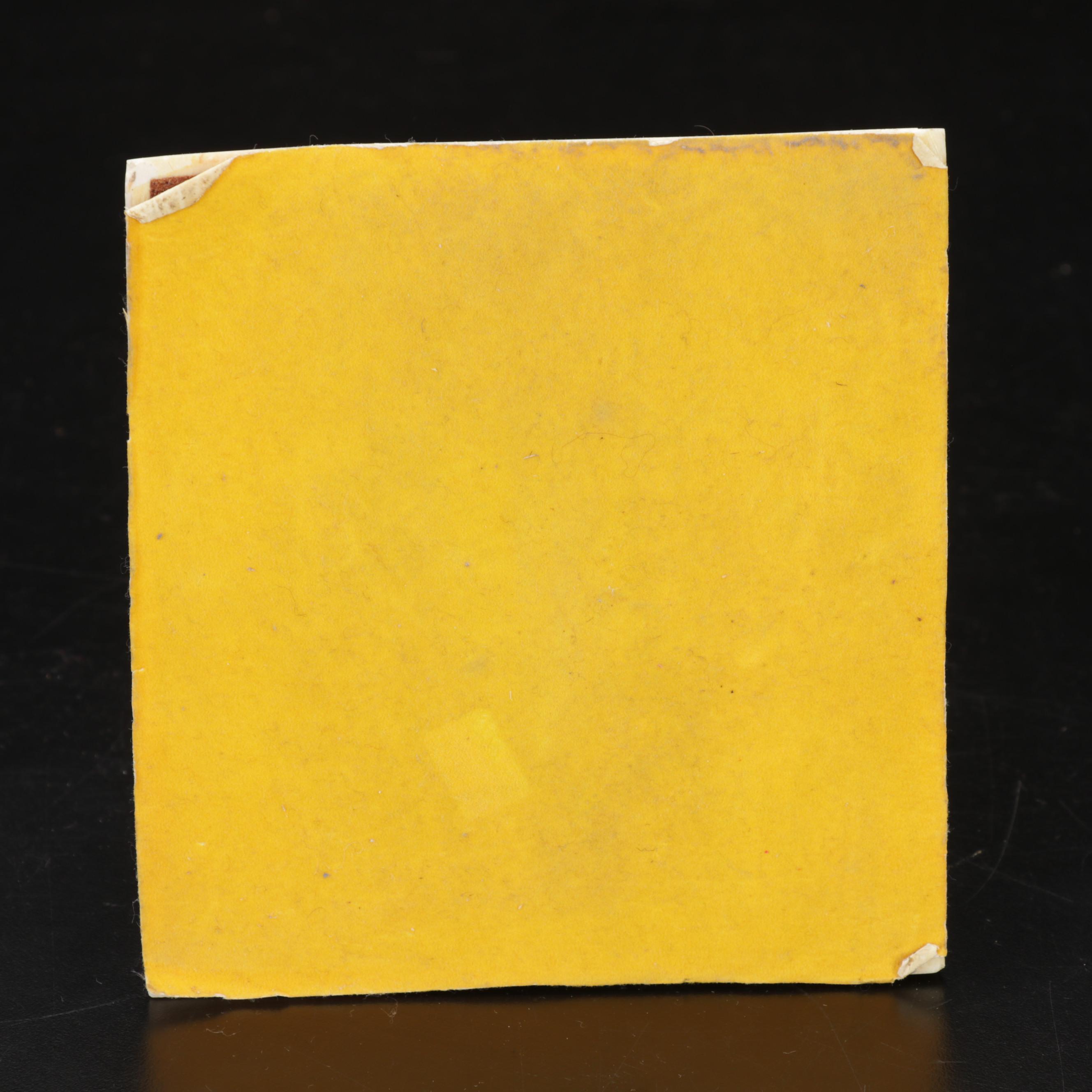 Large Fossil Scleractinian Stony Coral Specimen with Tessellated Obelisk