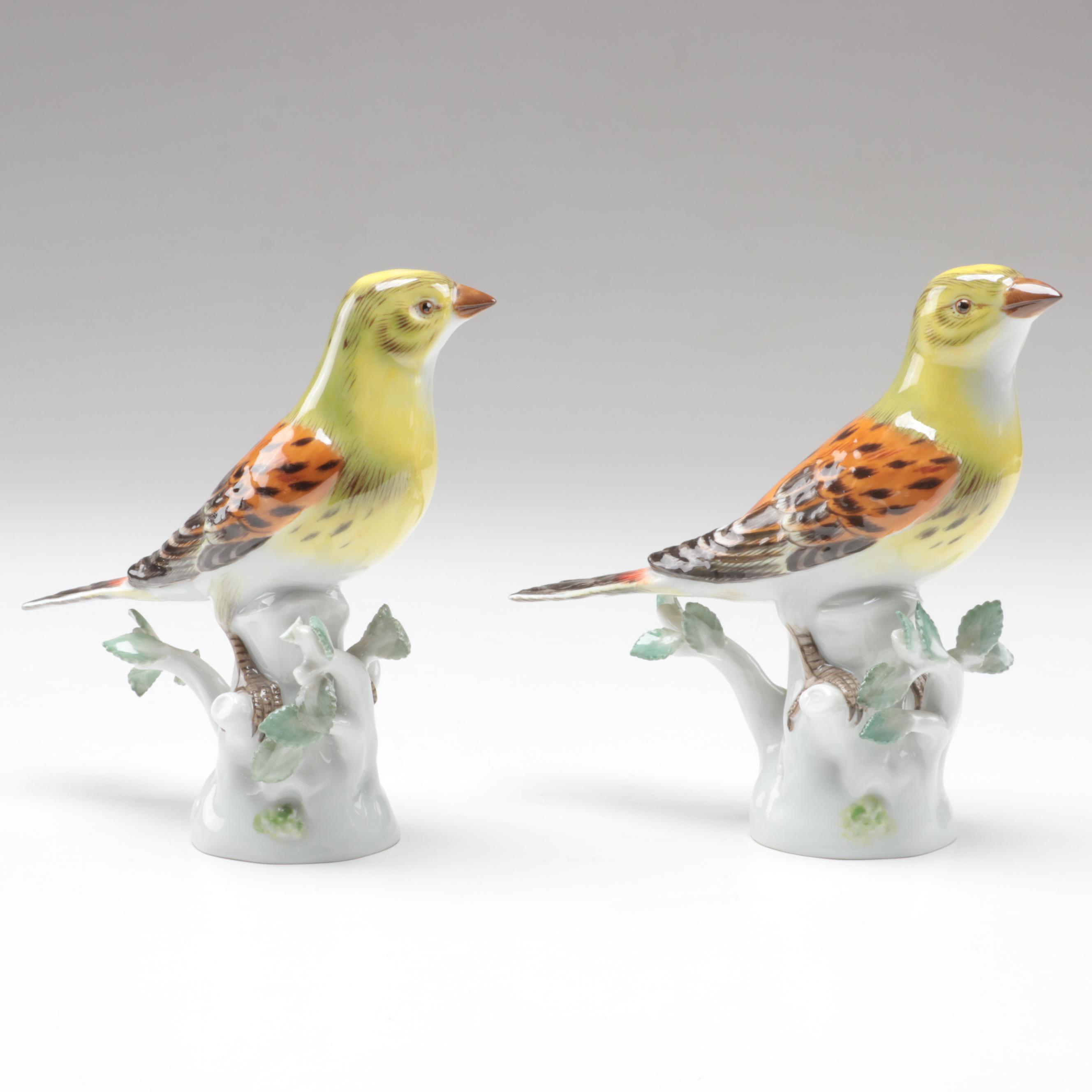 Meissen Porcelain Yellowhammer Bird Figurines, 20th Century