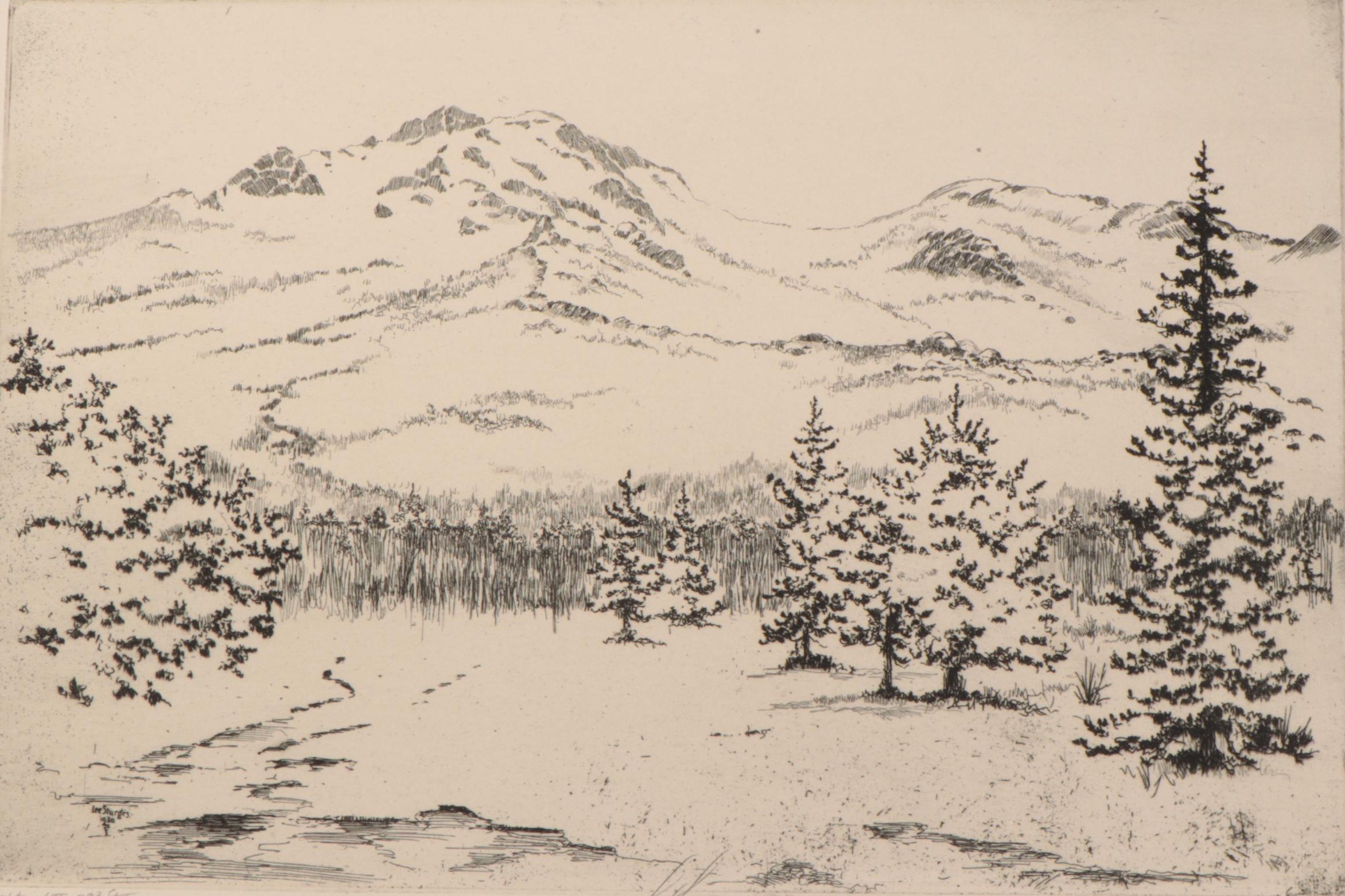 Lee Sturges Landscape Etchings Including "Stark Peak and Mount Wilbur," 1919