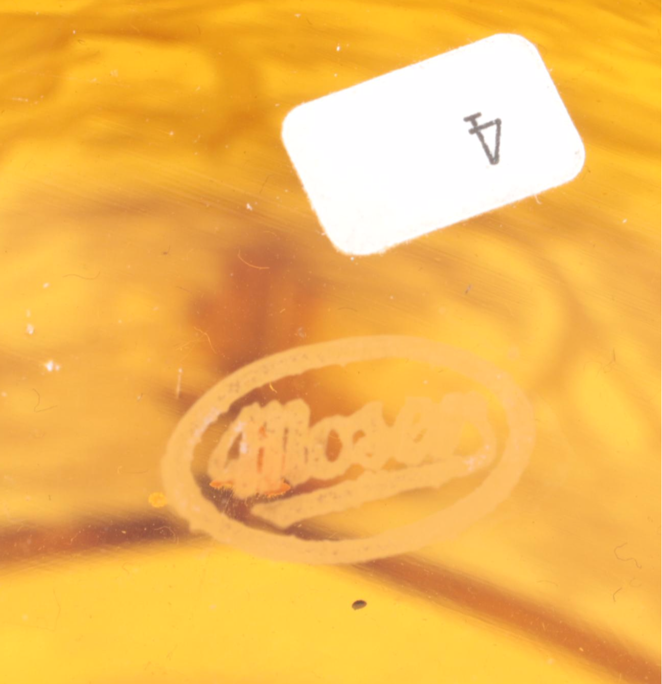 Konstantin Hable Jr. for Moser Landscape with Heron Engraved Crystal Vase, 1979