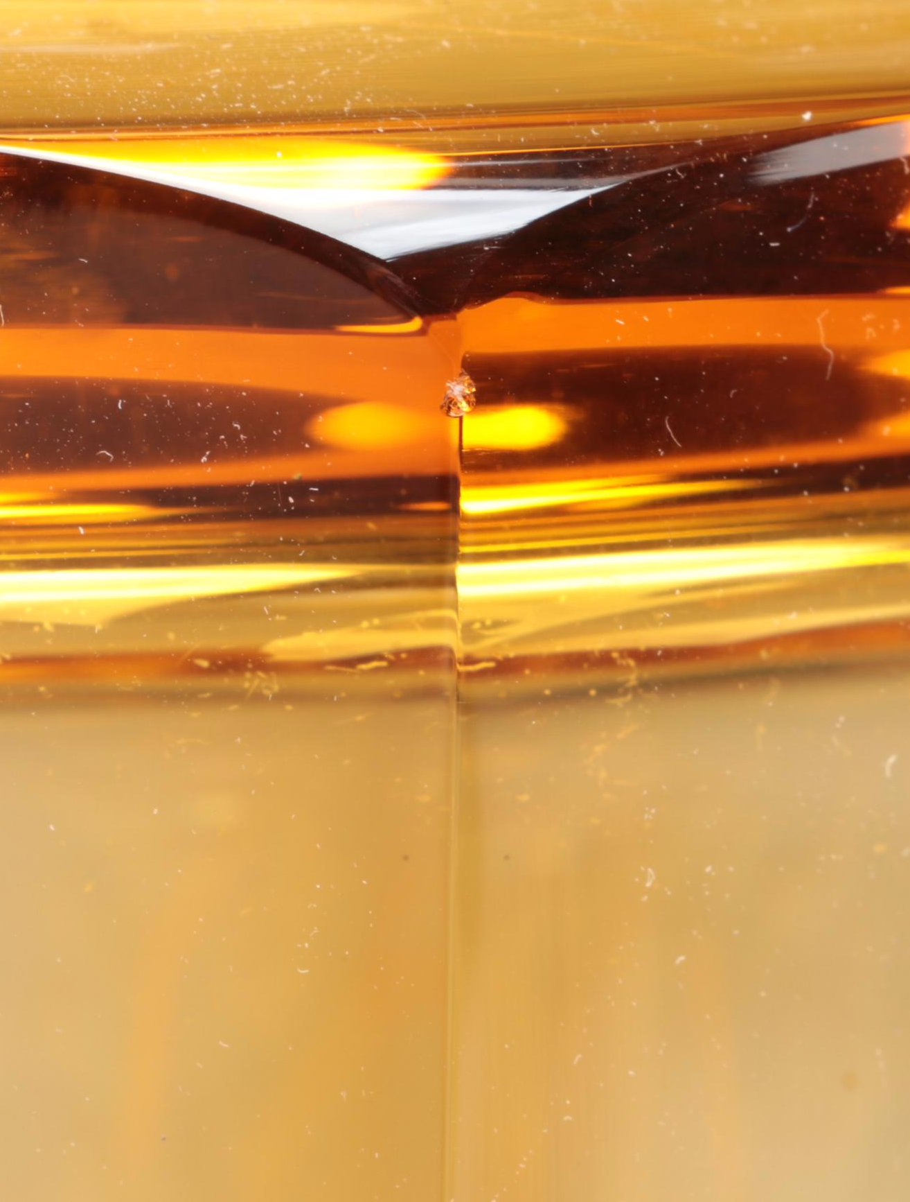 Konstantin Hable Jr. for Moser Landscape with Heron Engraved Crystal Vase, 1979