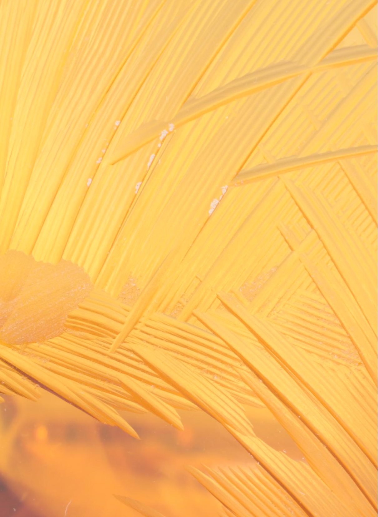 Konstantin Hable Jr. for Moser Landscape with Heron Engraved Crystal Vase, 1979