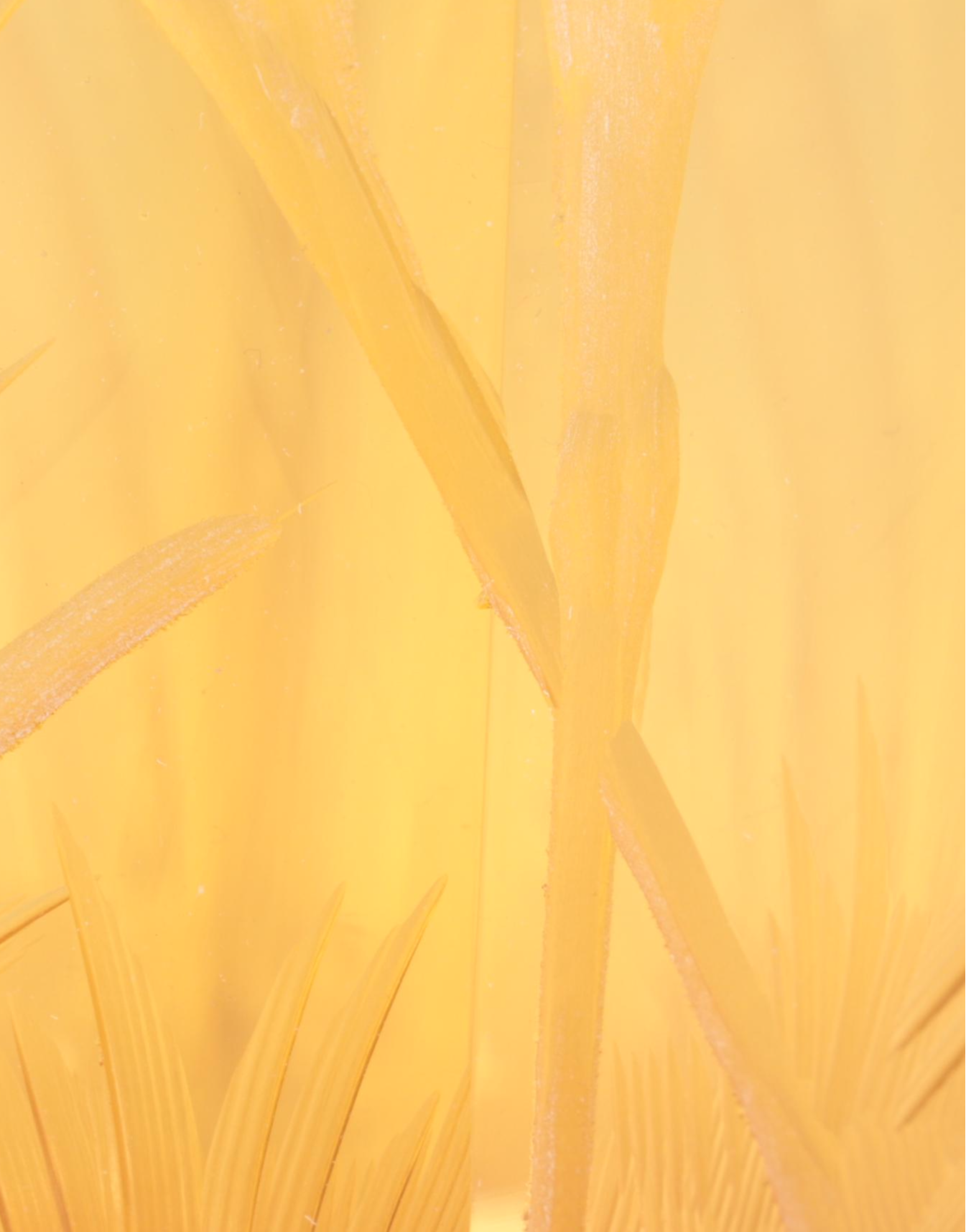 Konstantin Hable Jr. for Moser Landscape with Heron Engraved Crystal Vase, 1979