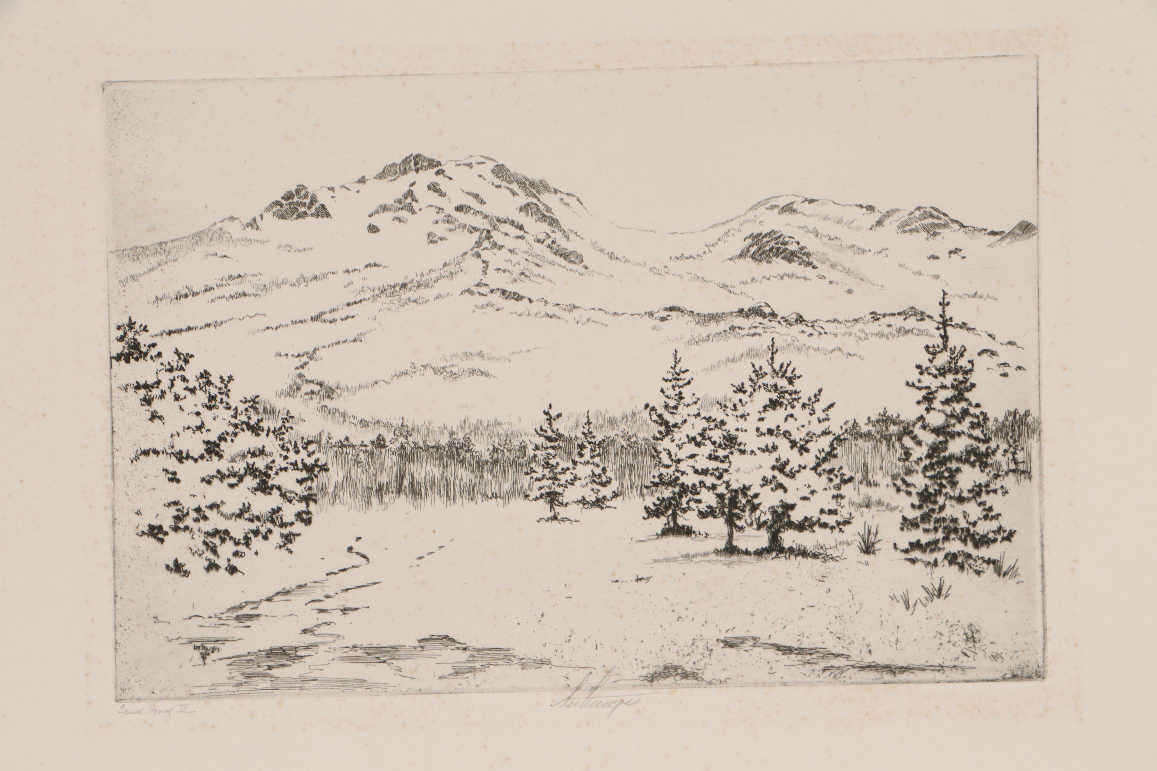 Lee Sturges Landscape Etchings Including "Springtime in Elmhurst"