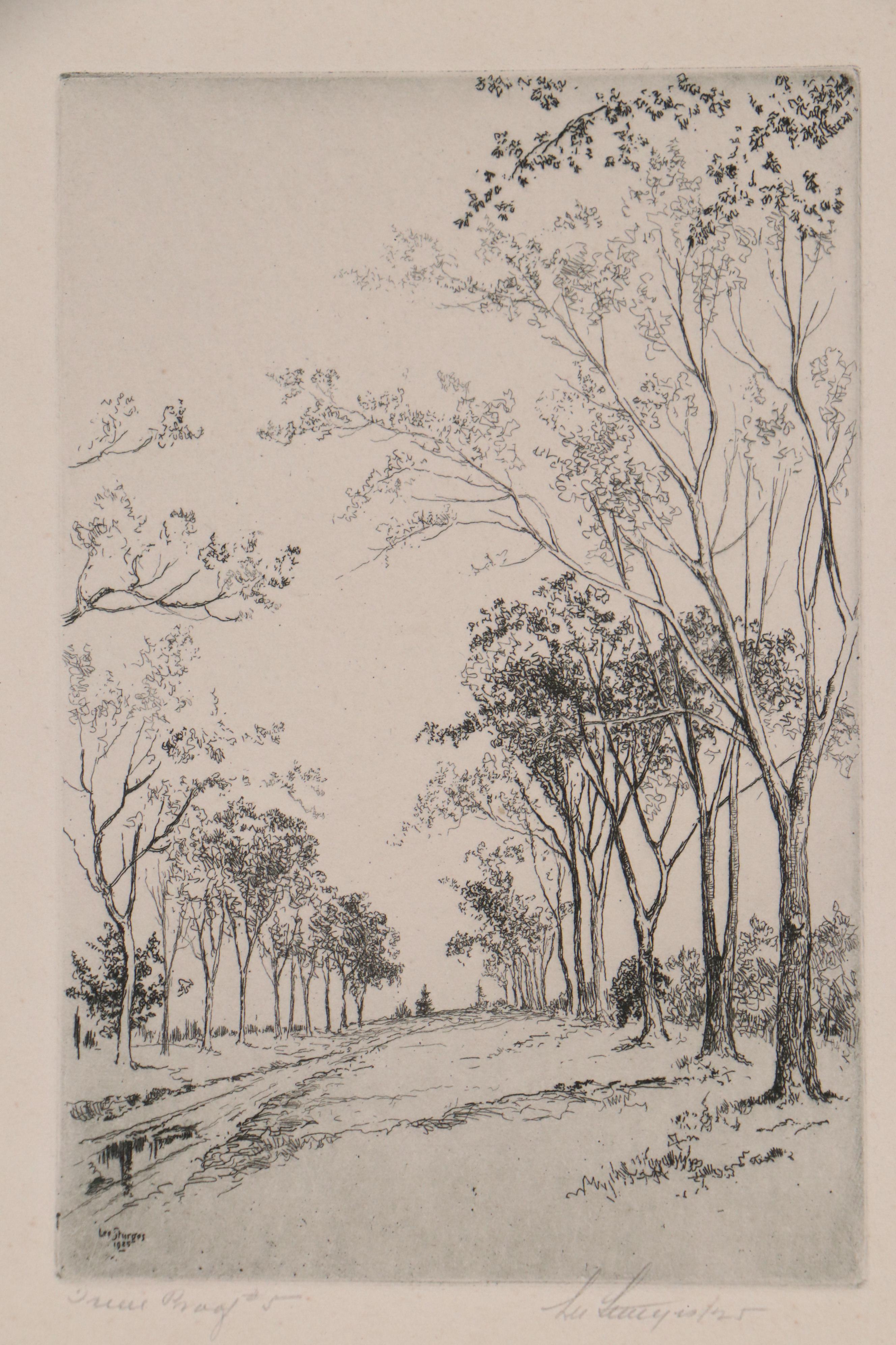 Lee Sturges Landscape Etchings Including "Springtime in Elmhurst"