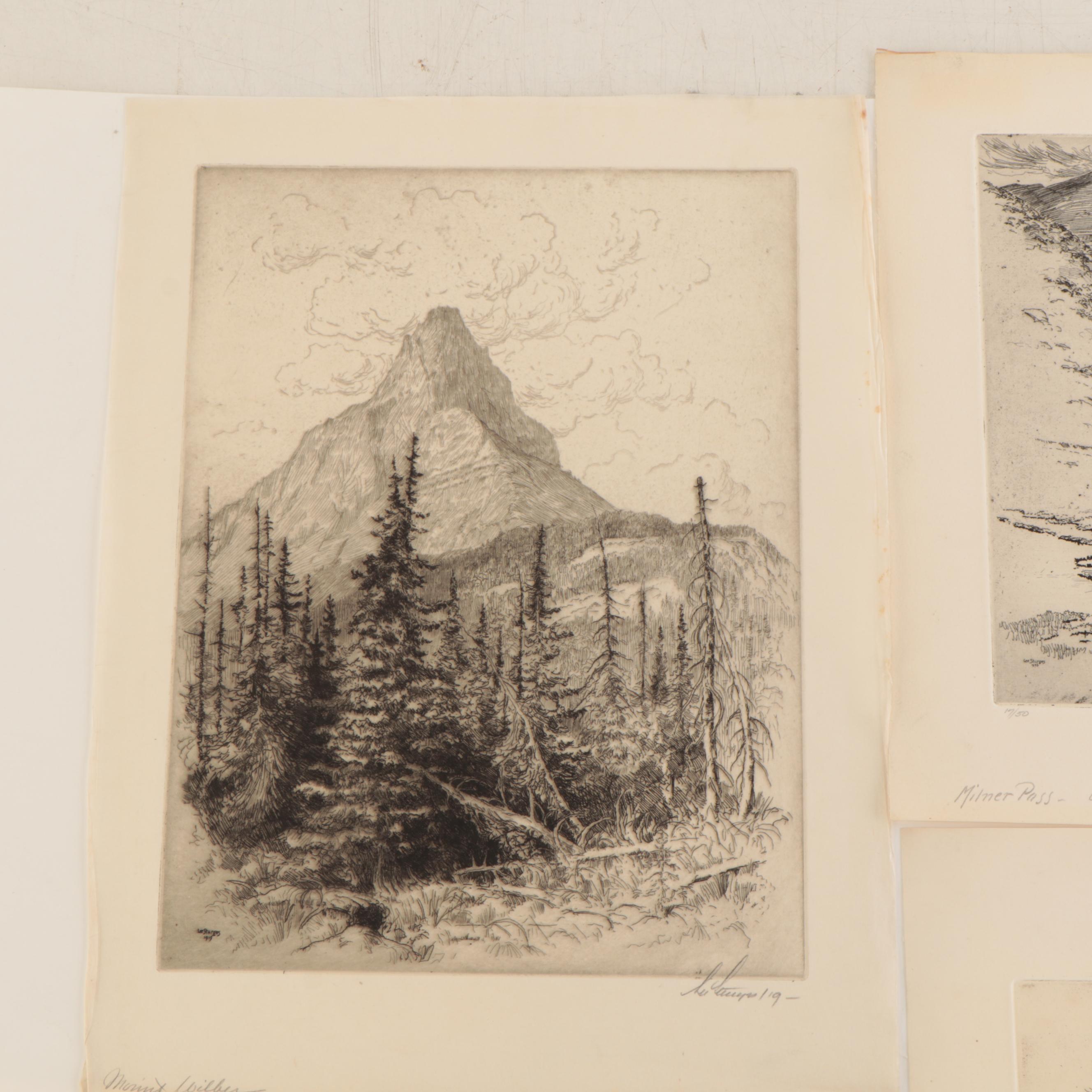 Lee Sturges Mountain Landscape Etchings, Circa 1920