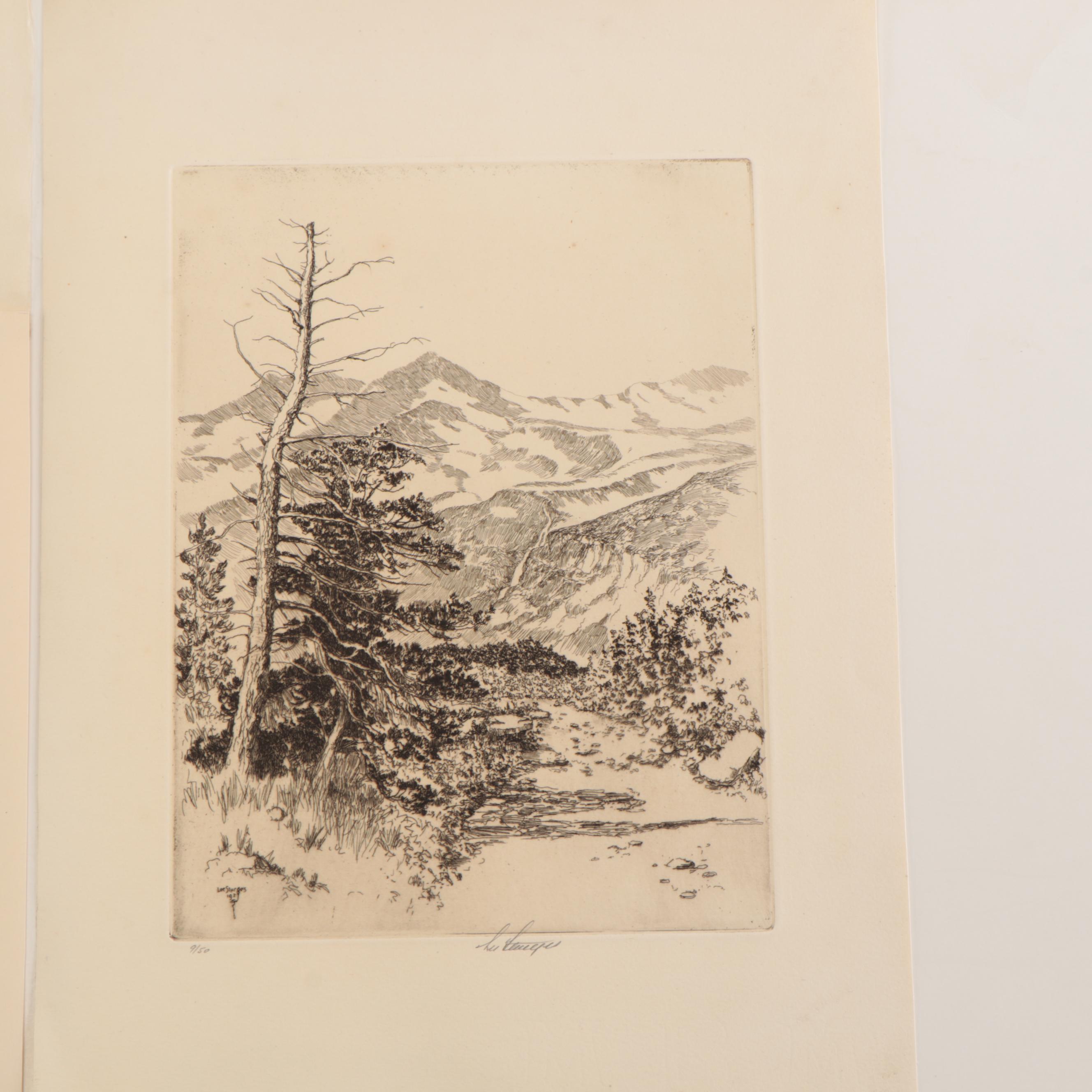 Lee Sturges Mountain Landscape Etchings, Circa 1920