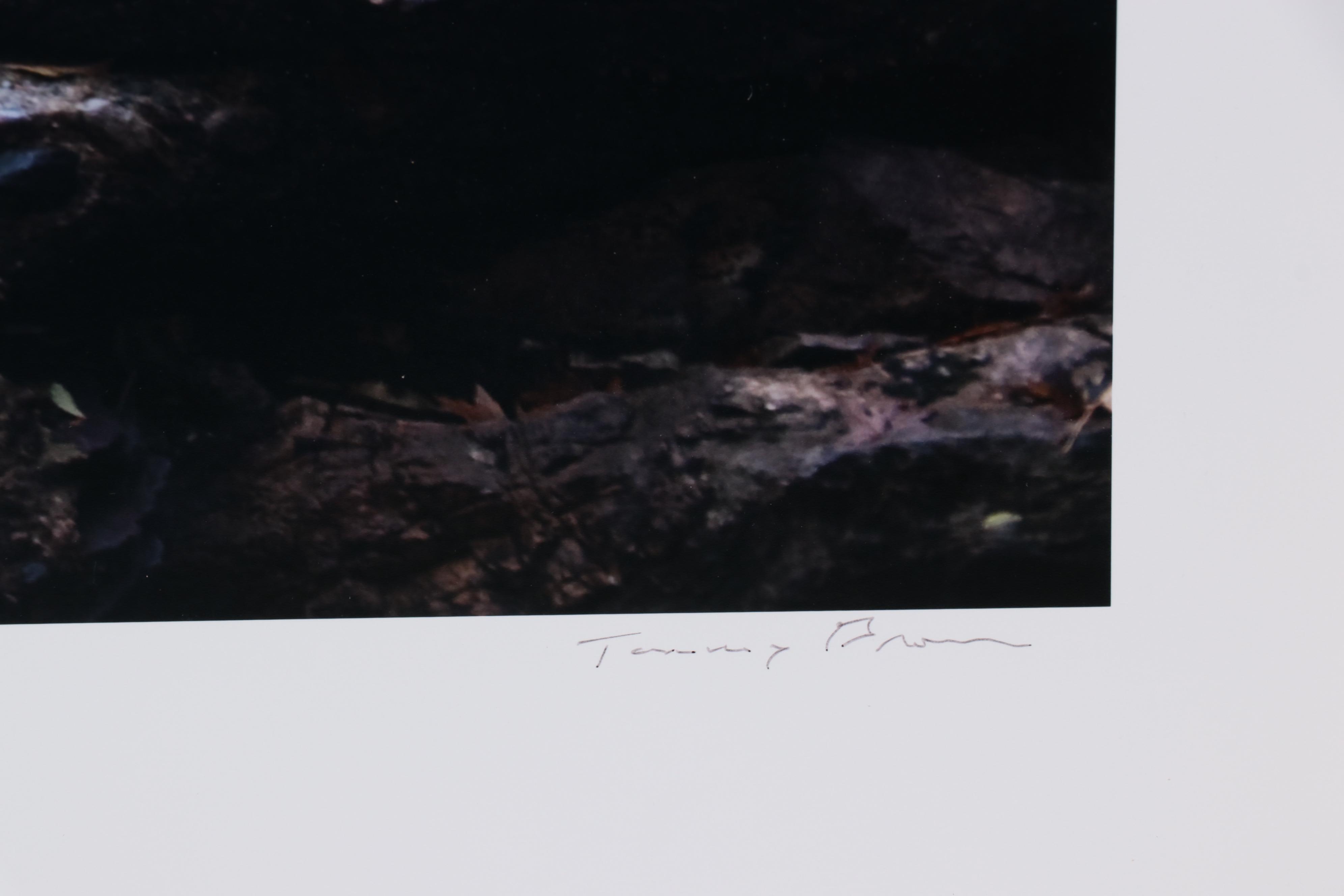 Digital Photograph of Architecture, 21st Century