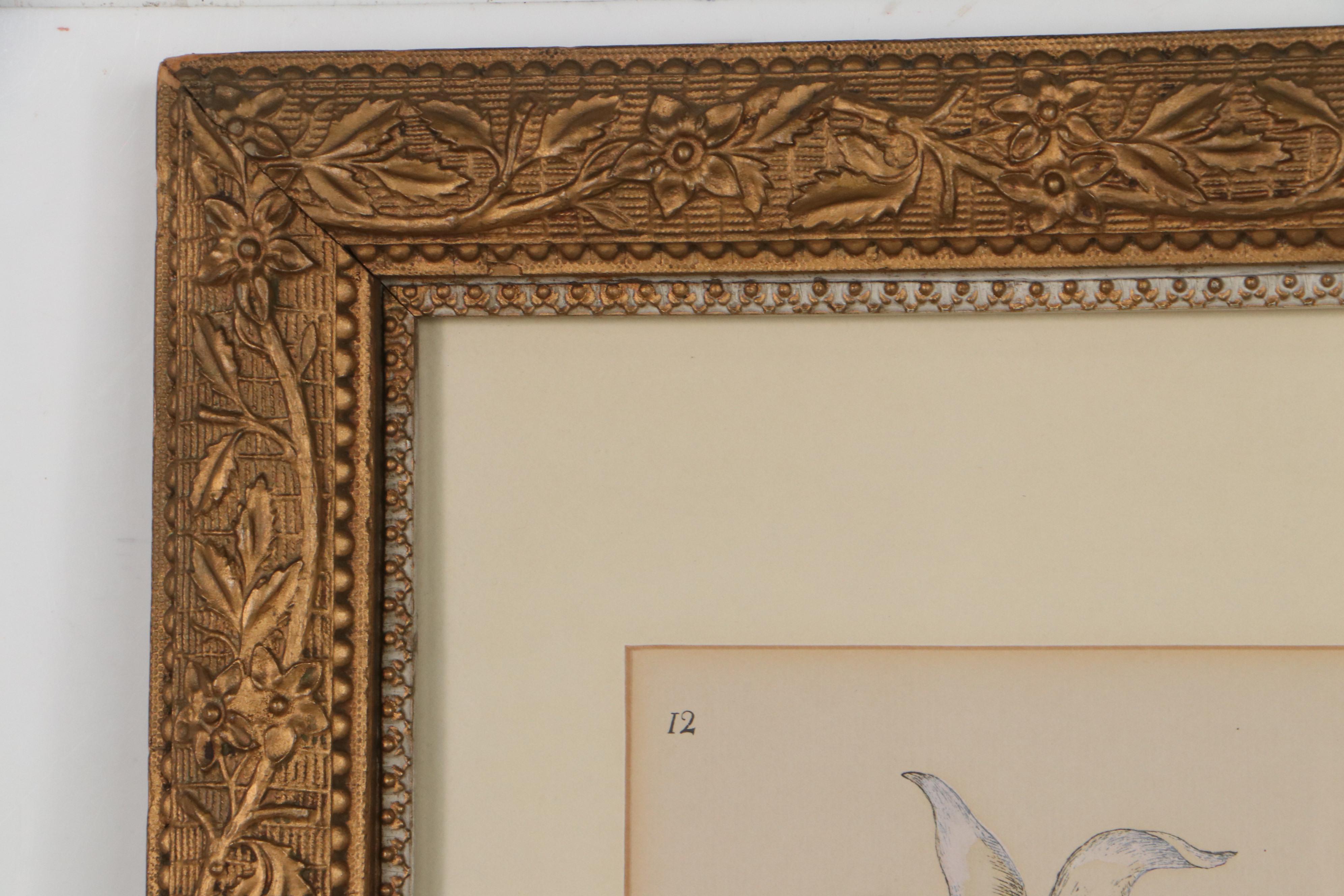 Hand-Colored Halftone of Quail