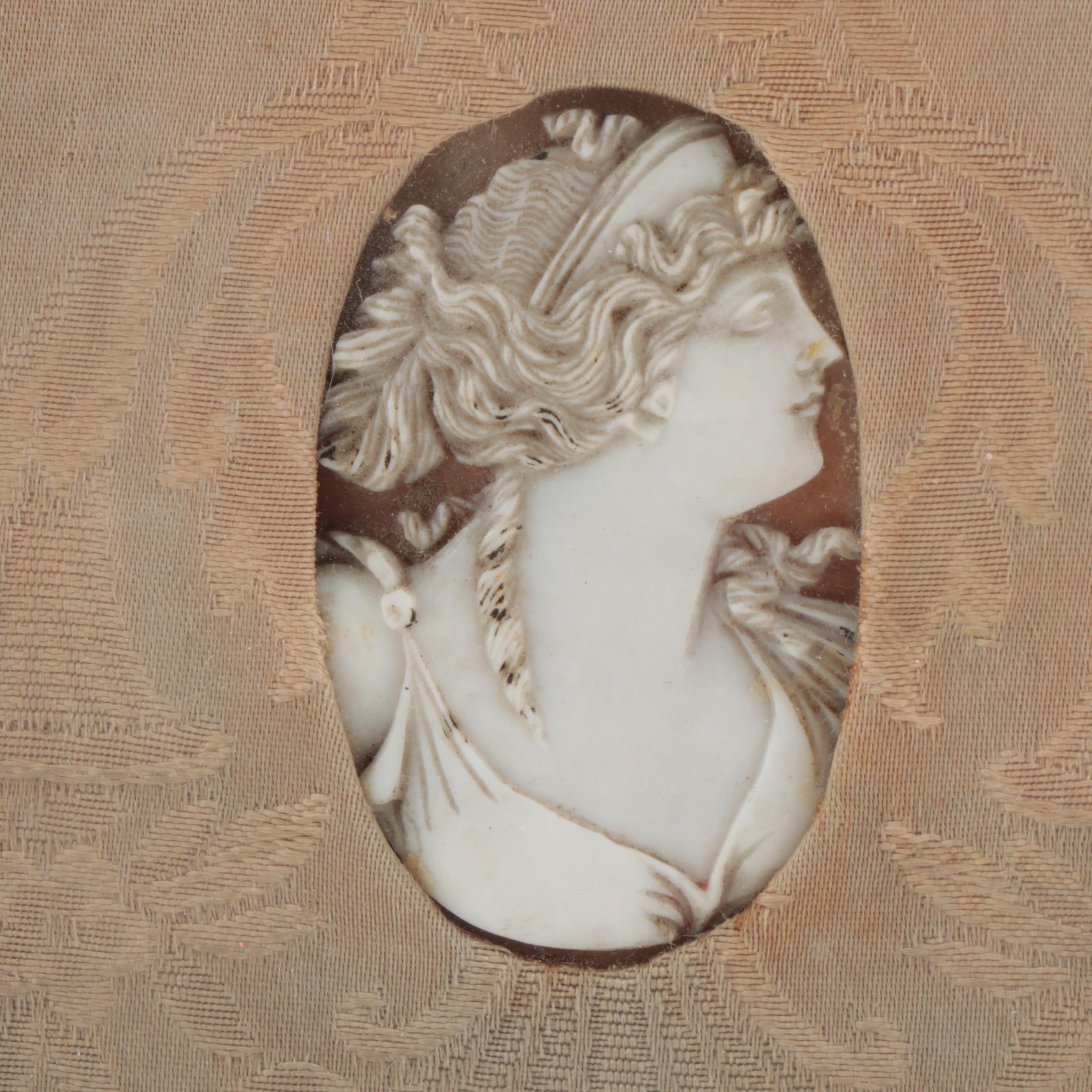 Victorian Framed Cameo Carved Shell Medallion, Antique